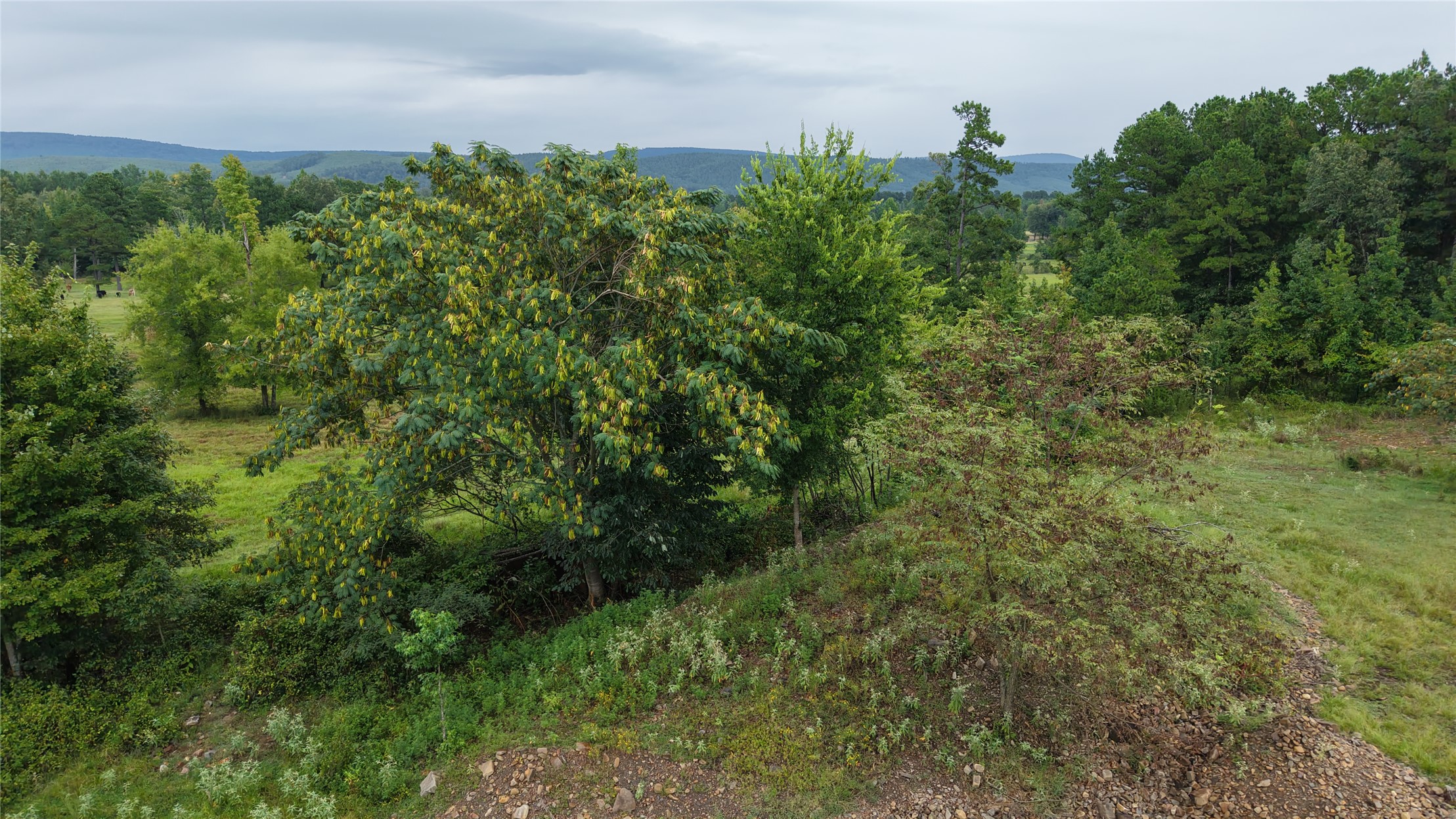 69150 Us Highway 259 Property Photo 3