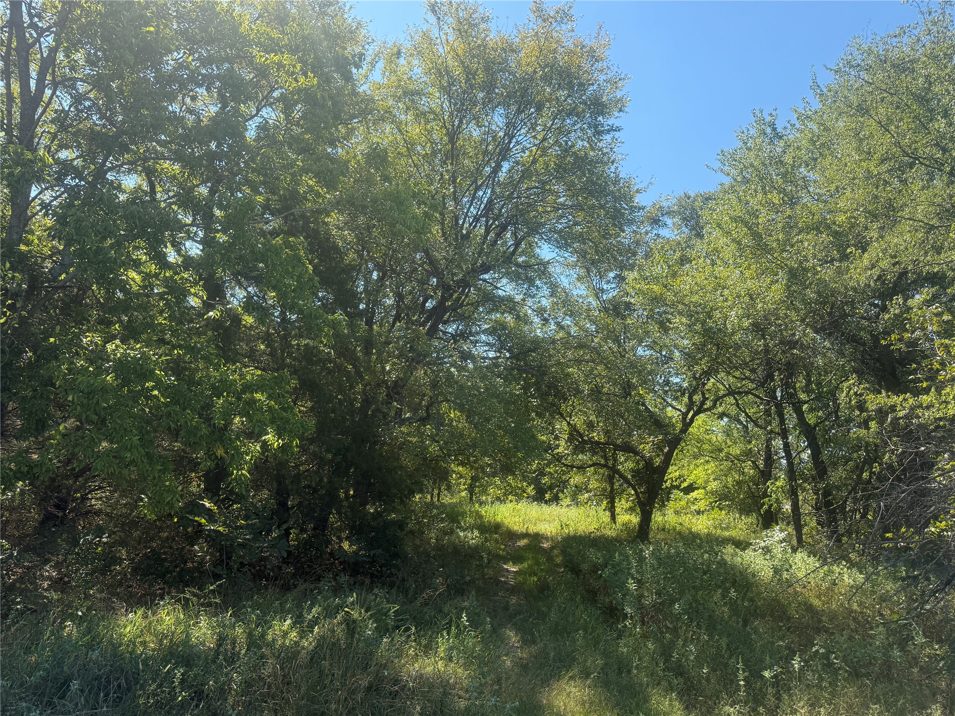 415590 Highway 9 Property Photo 3