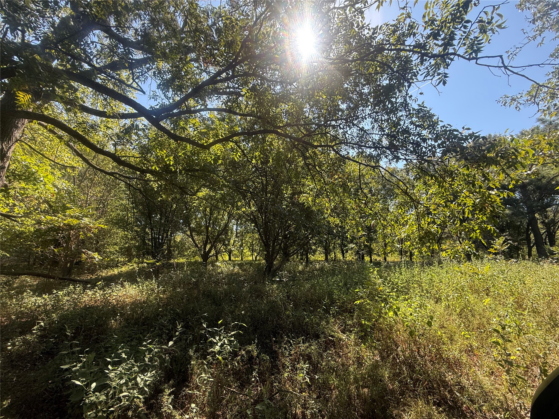 415590 Highway 9 Property Photo 4