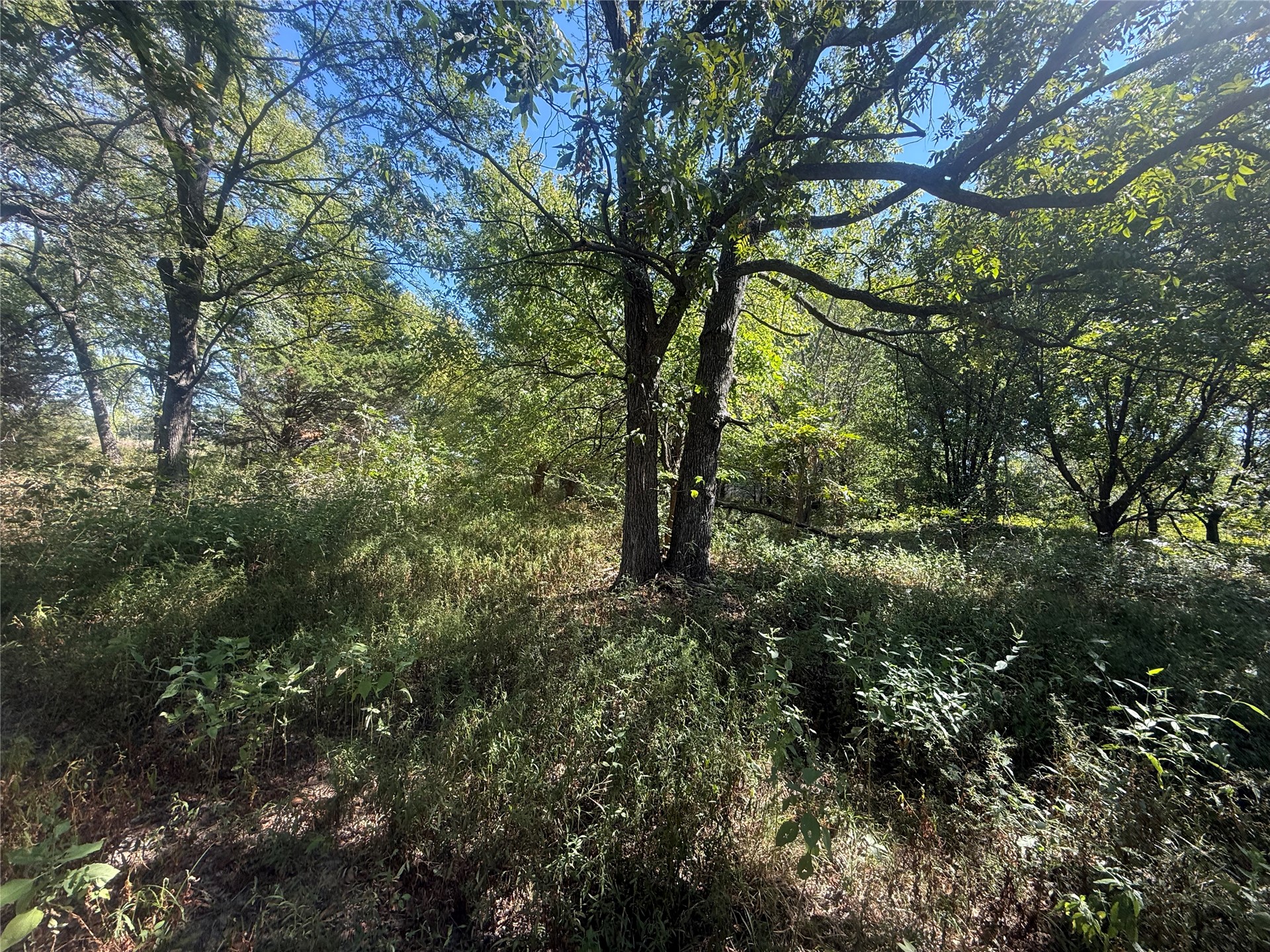 415590 Highway 9 Property Photo 5