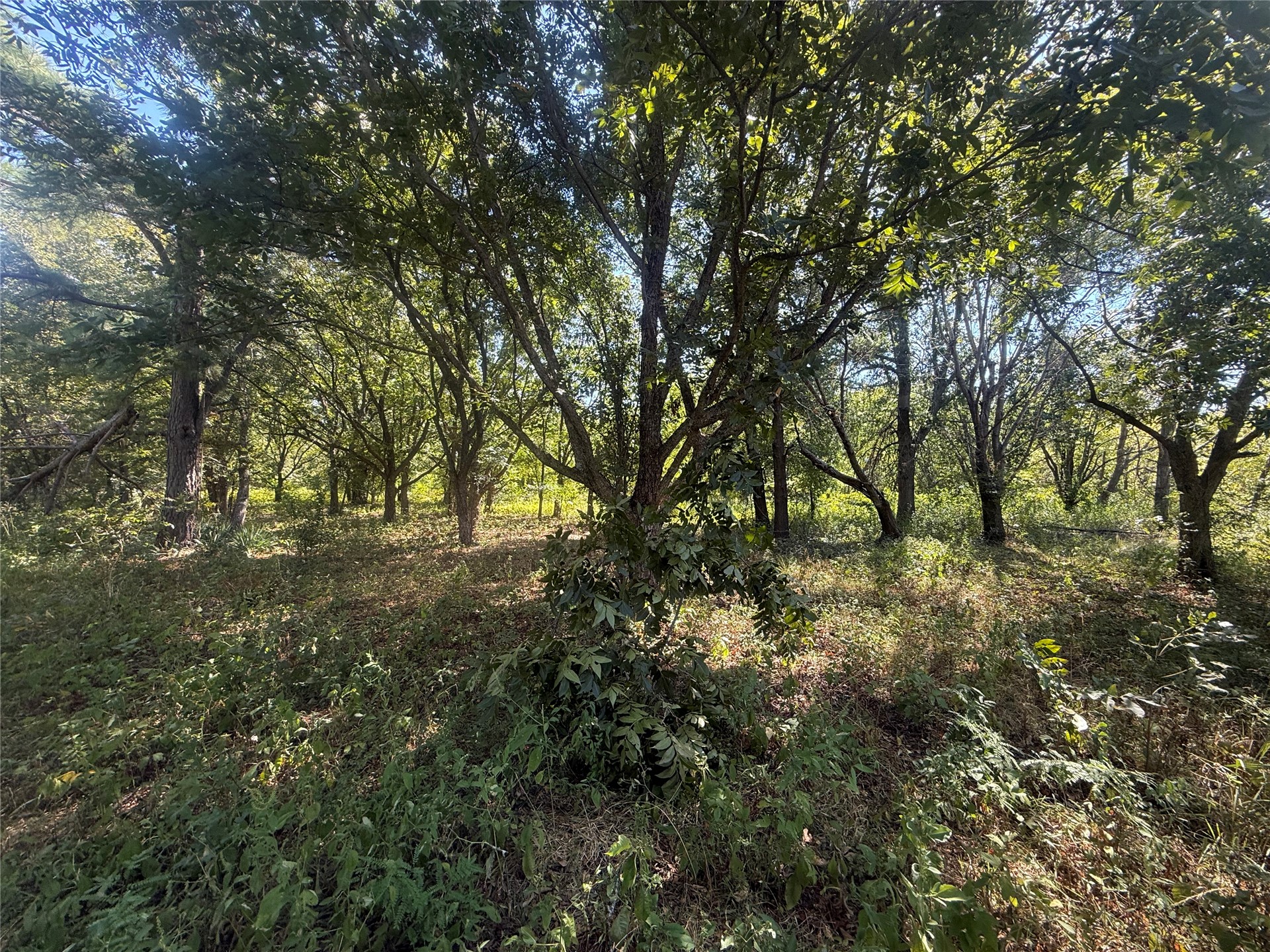 415590 Highway 9 Property Photo 6