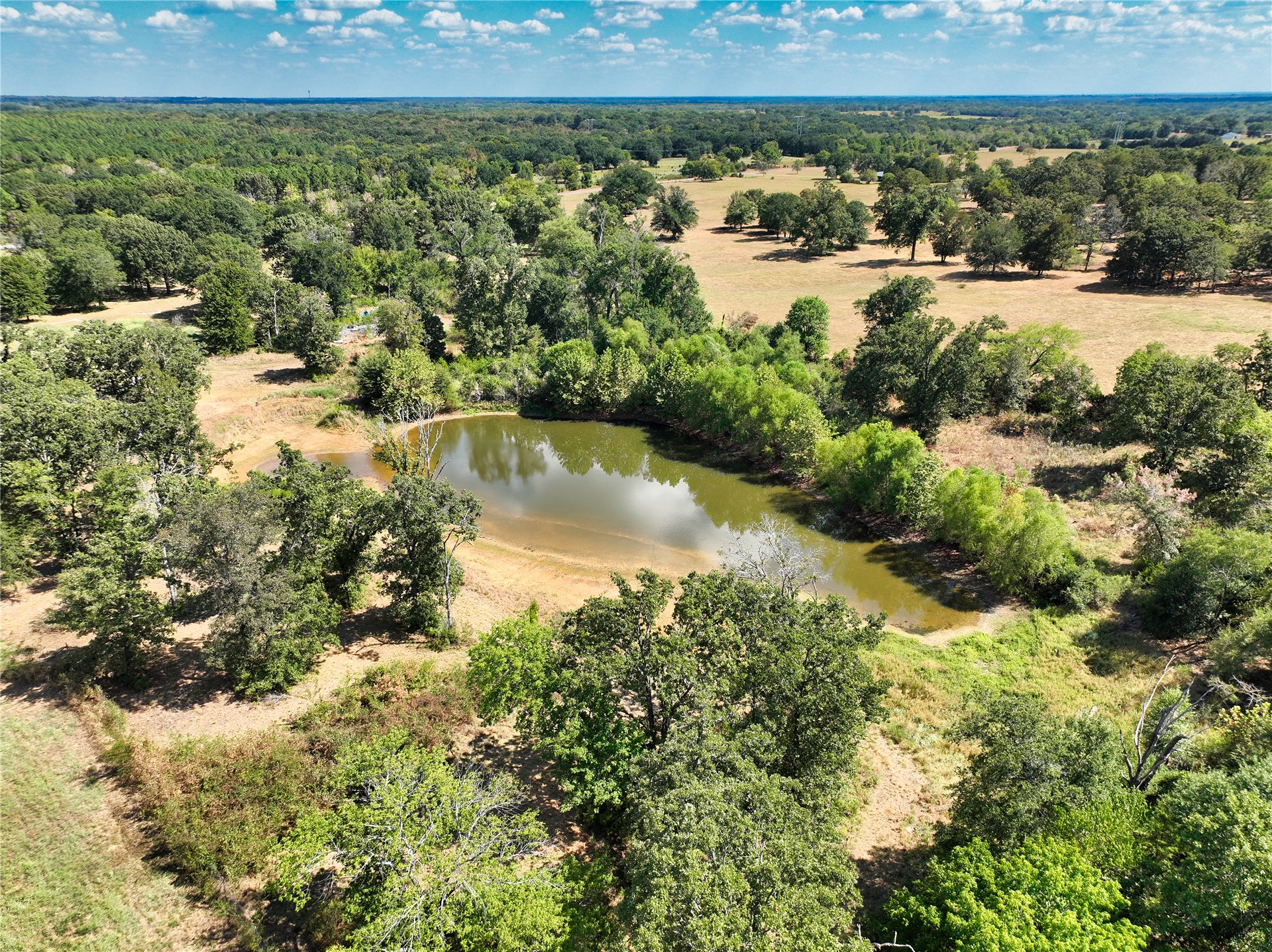 1235 Cade Highway Property Photo 26