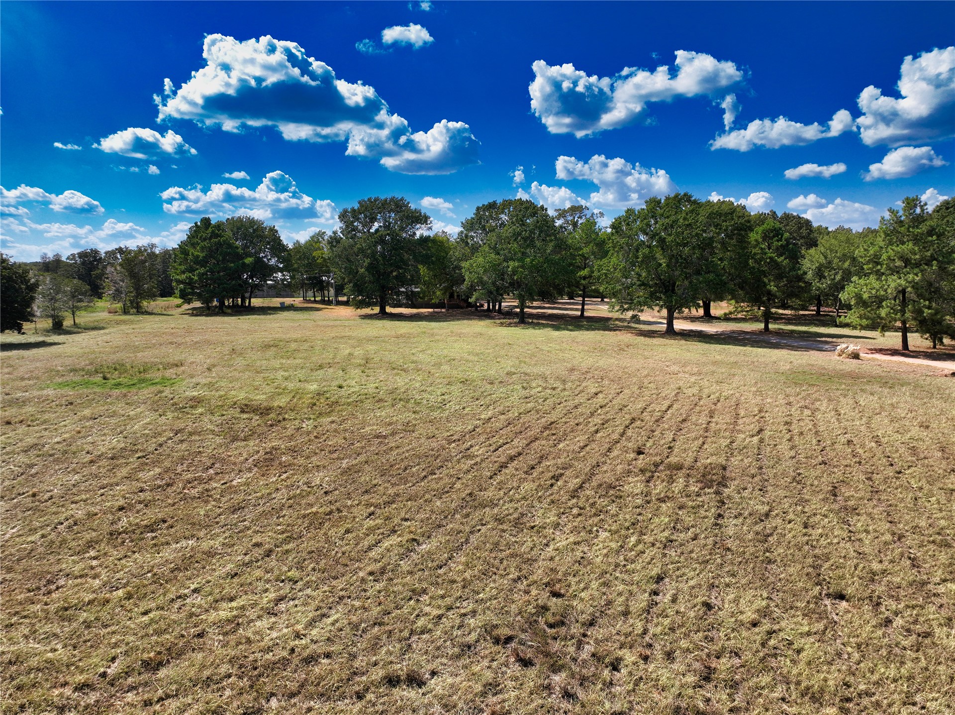 1235 Cade Highway Property Photo 31