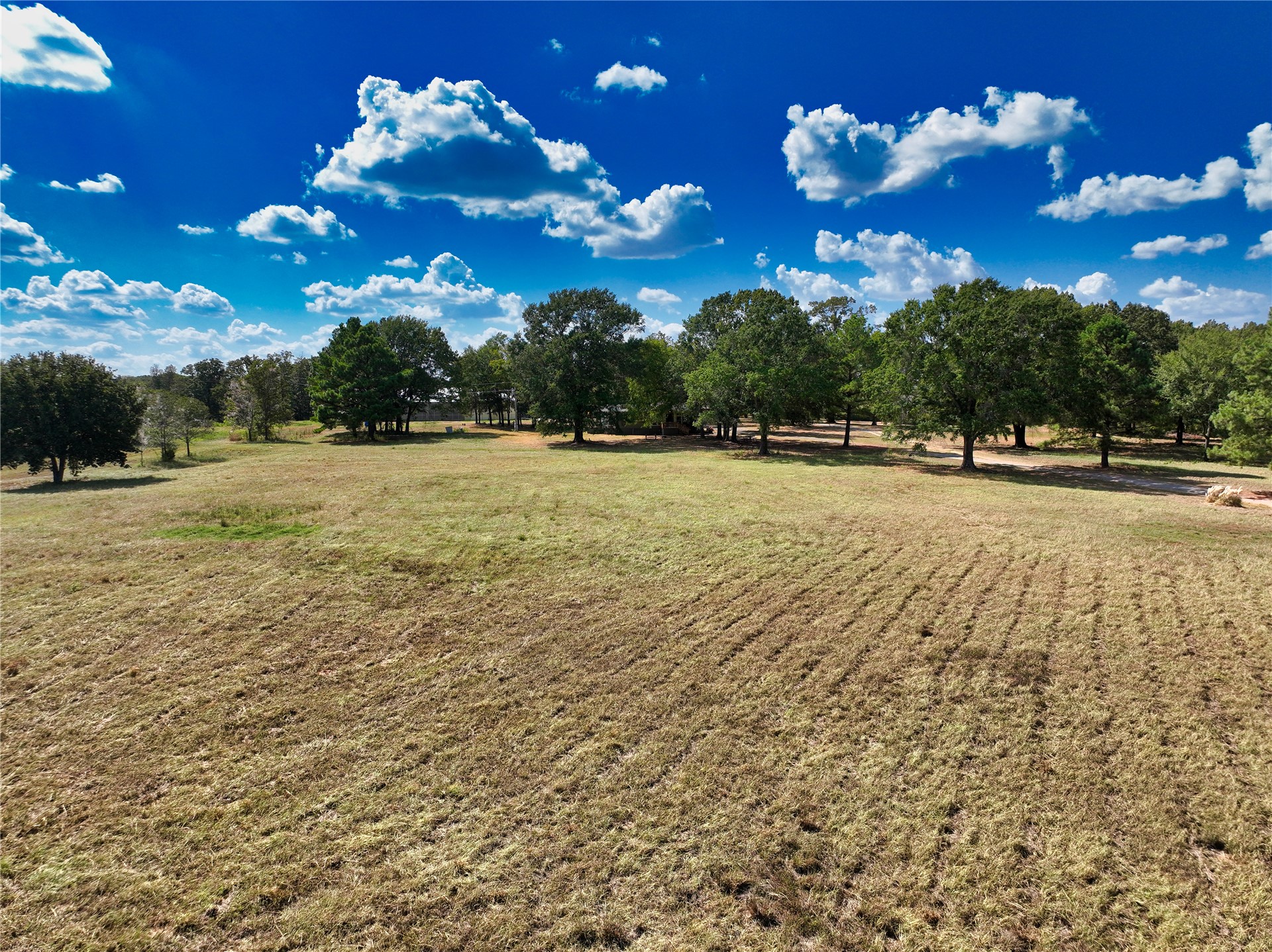 1235 Cade Highway Property Photo 32