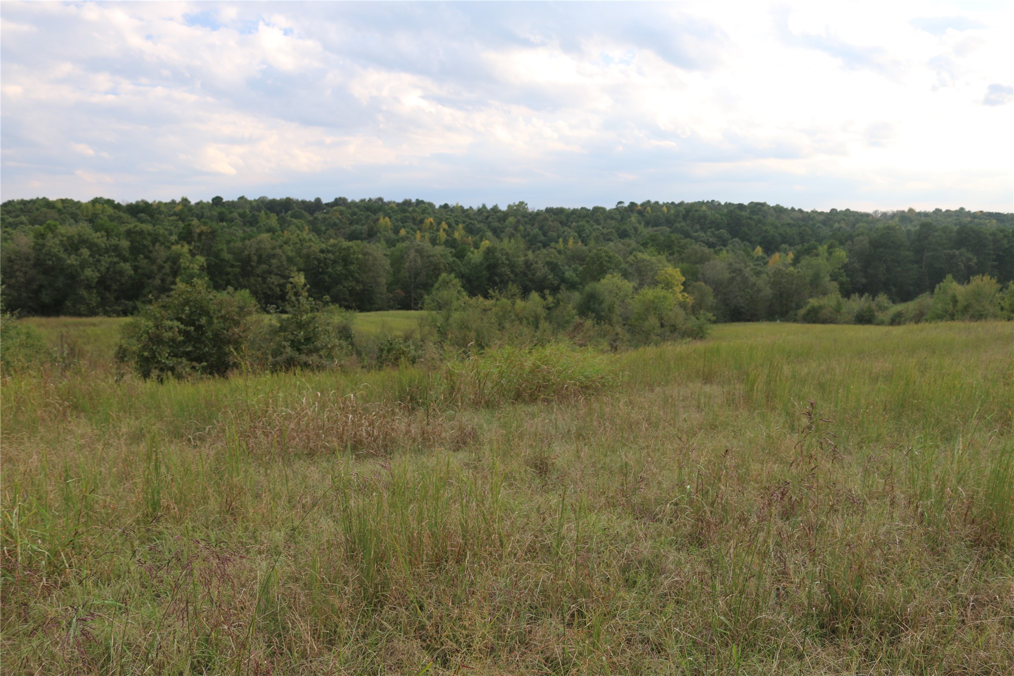 4746 Hwy 4 Highway Property Photo 46