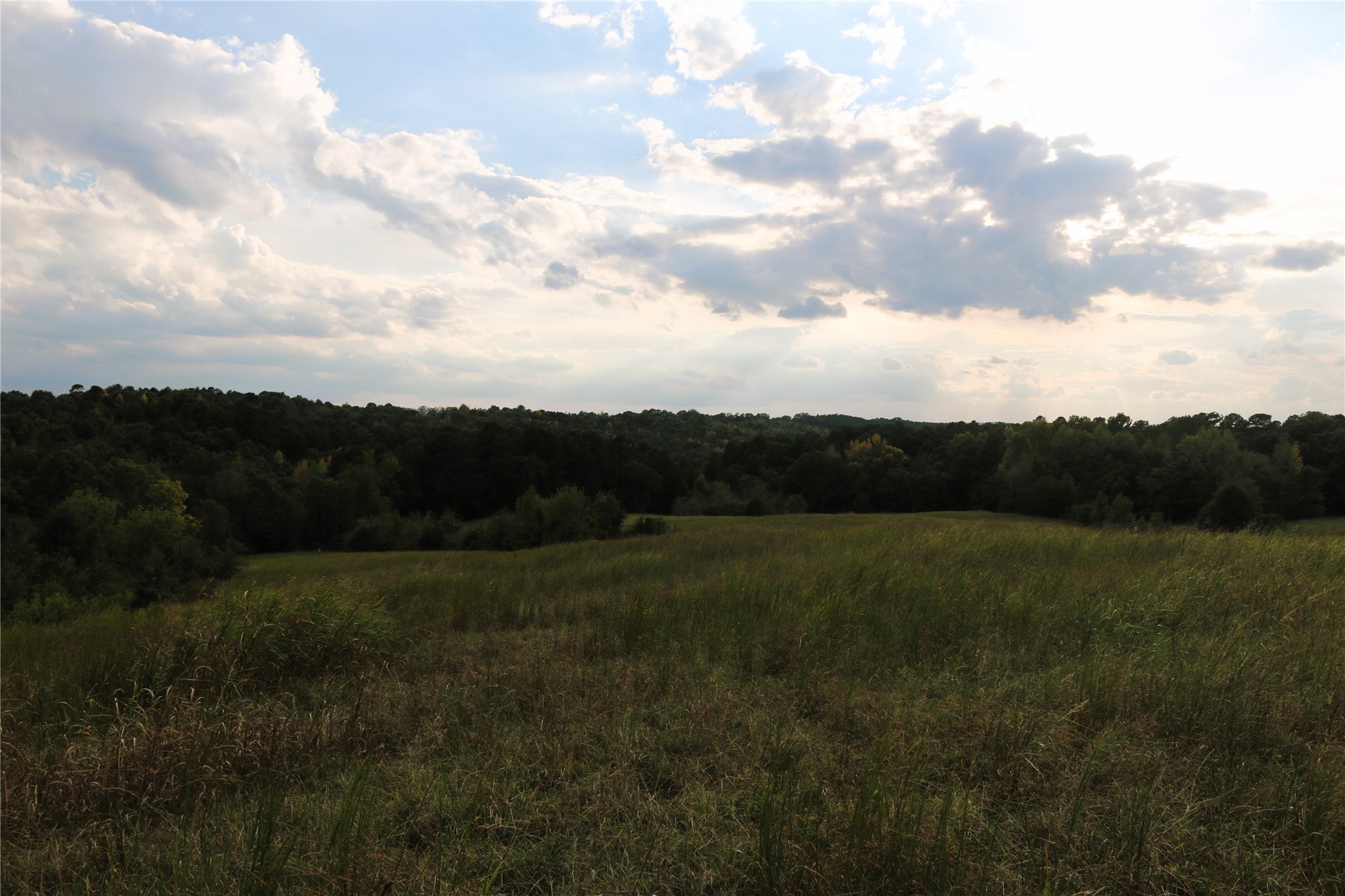 4746 Hwy 4 Highway Property Photo 47