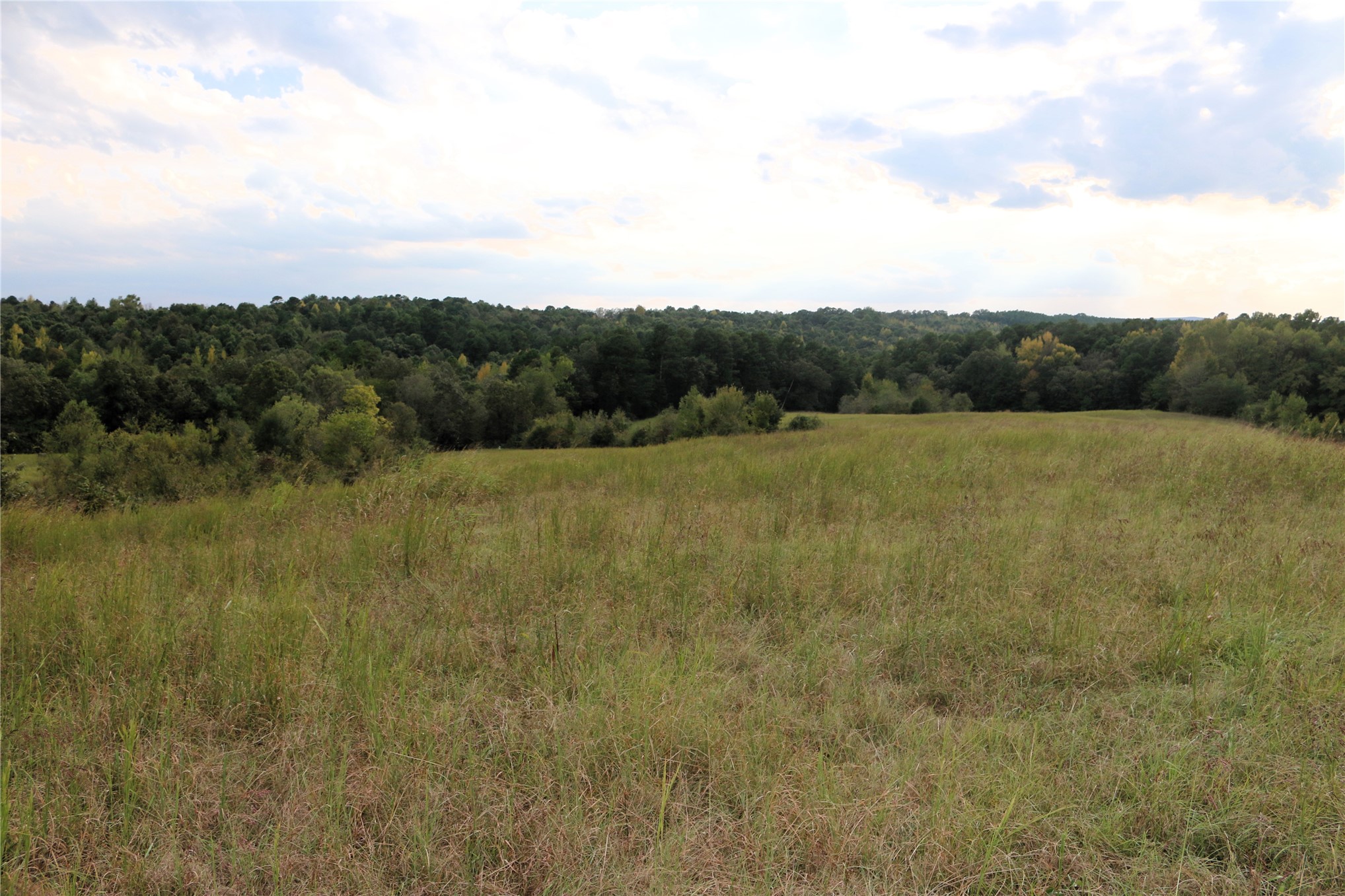 4746 Hwy 4 Highway Property Photo 51