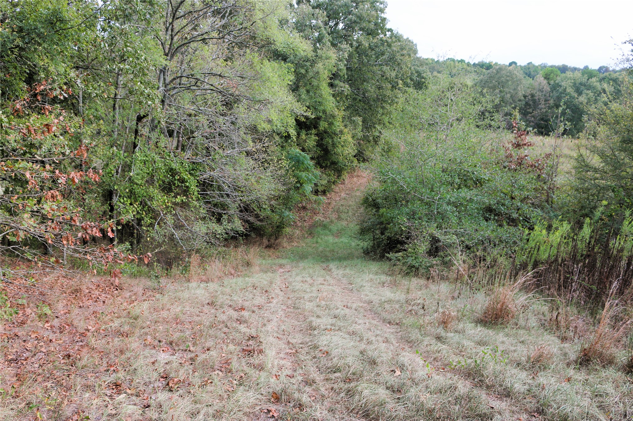 4746 Hwy 4 Highway Property Photo 52