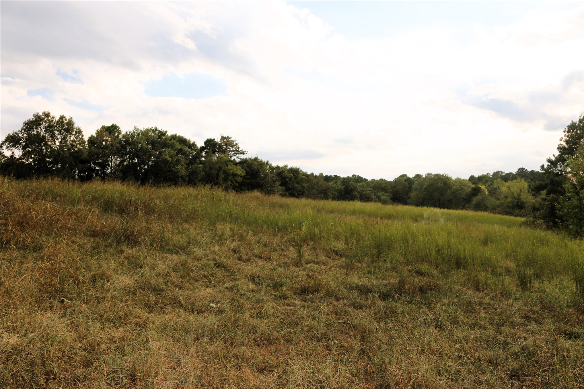 4746 Hwy 4 Highway Property Photo 53