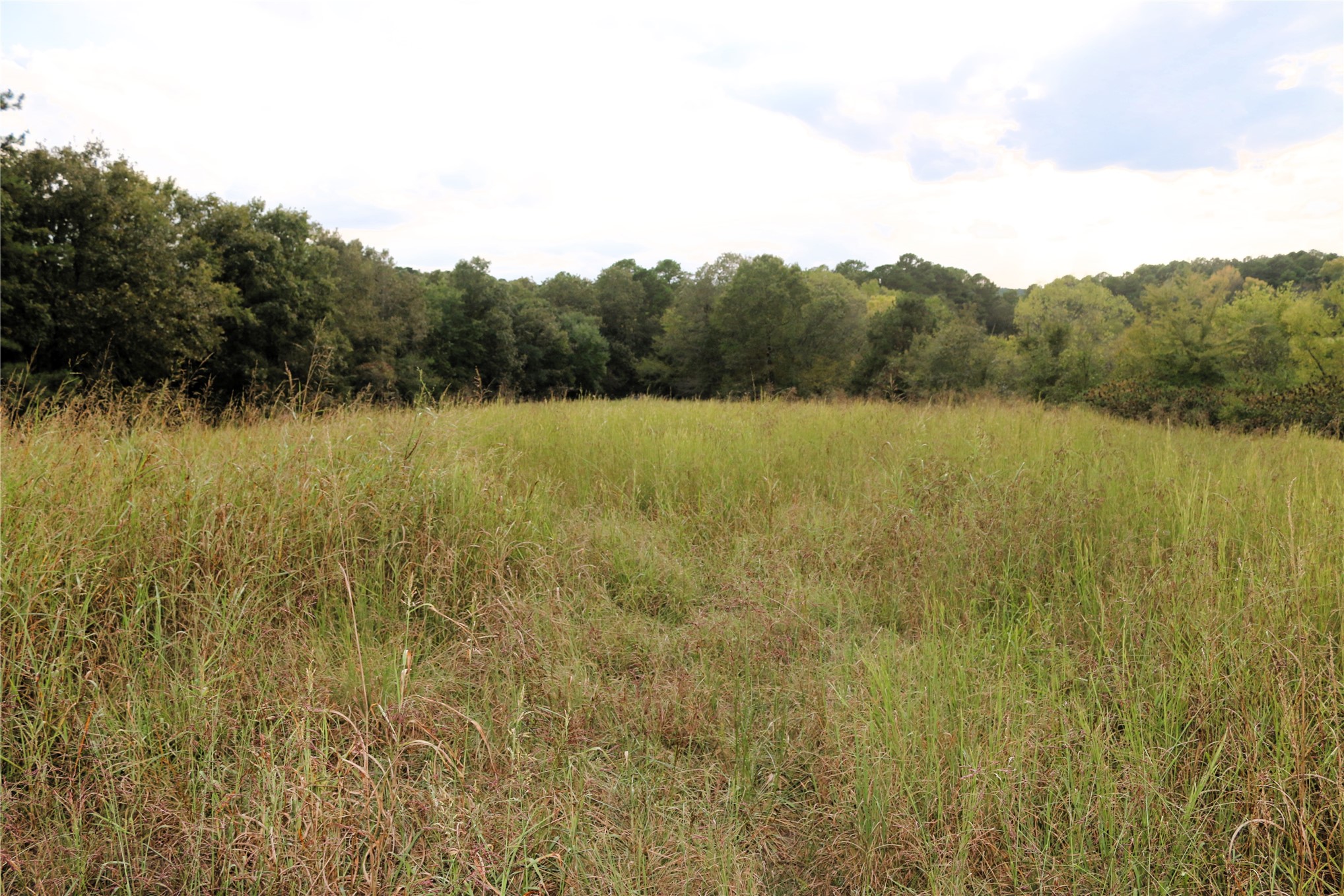4746 Hwy 4 Highway Property Photo 55