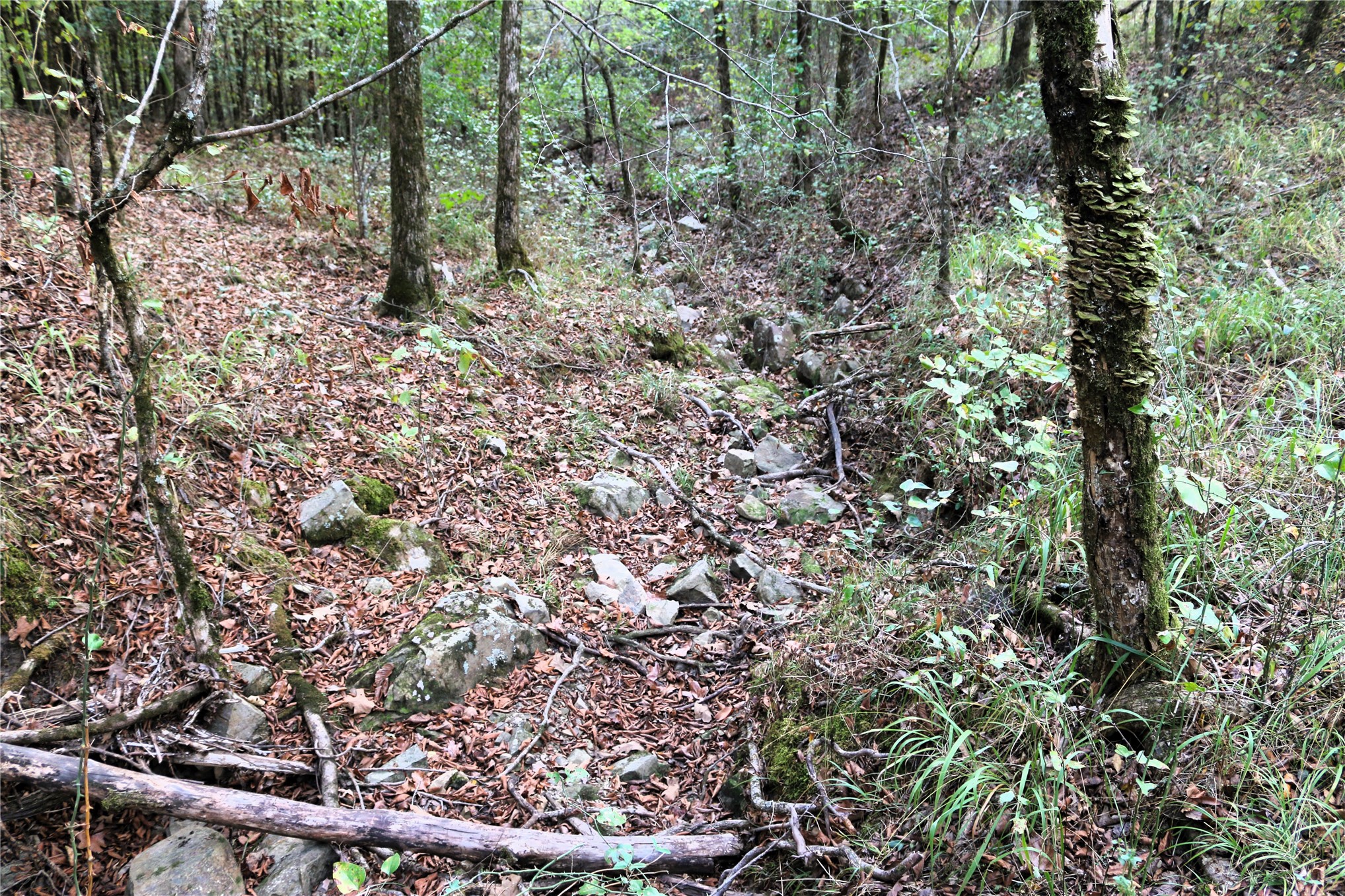 4746 Hwy 4 Highway Property Photo 58