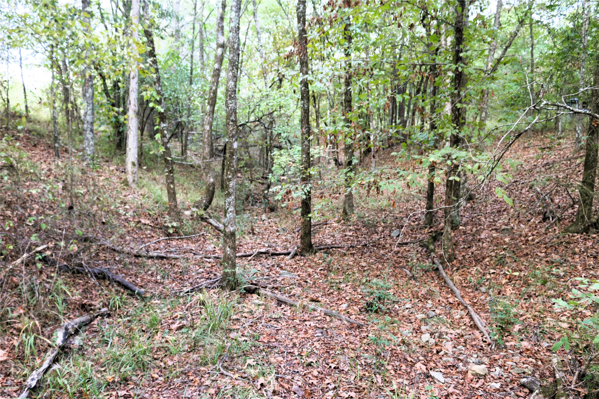4746 Hwy 4 Highway Property Photo 60