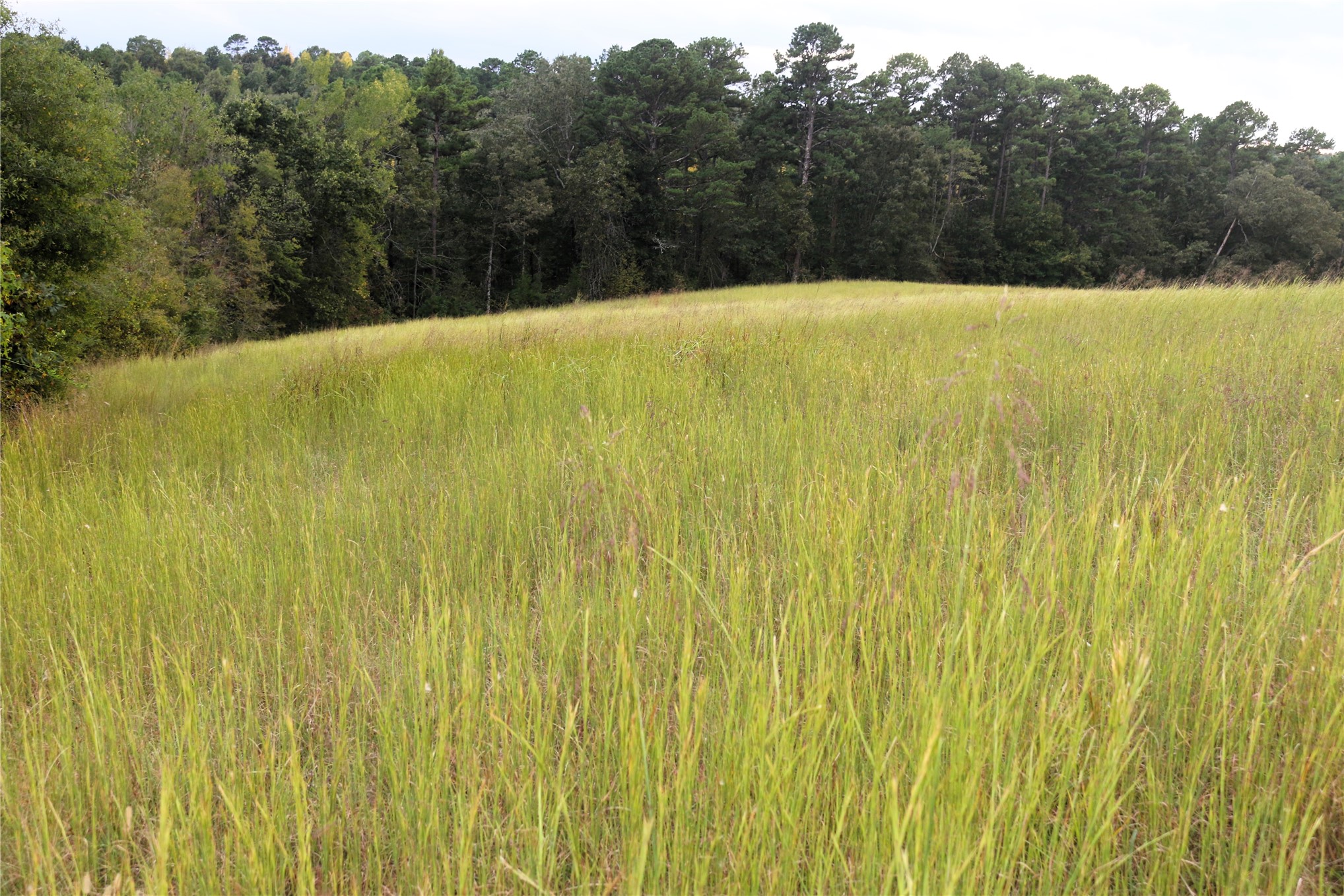 4746 Hwy 4 Highway Property Photo 62