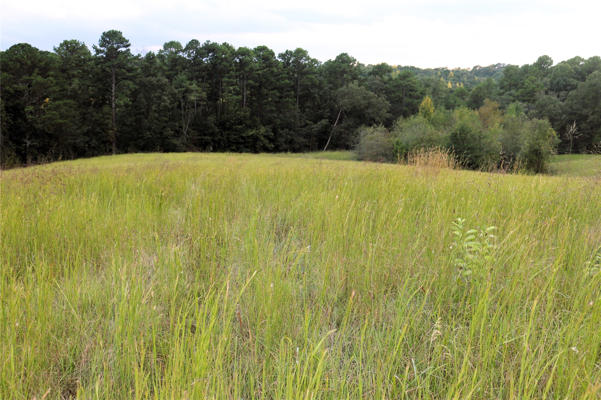 4746 Hwy 4 Highway Property Photo 64