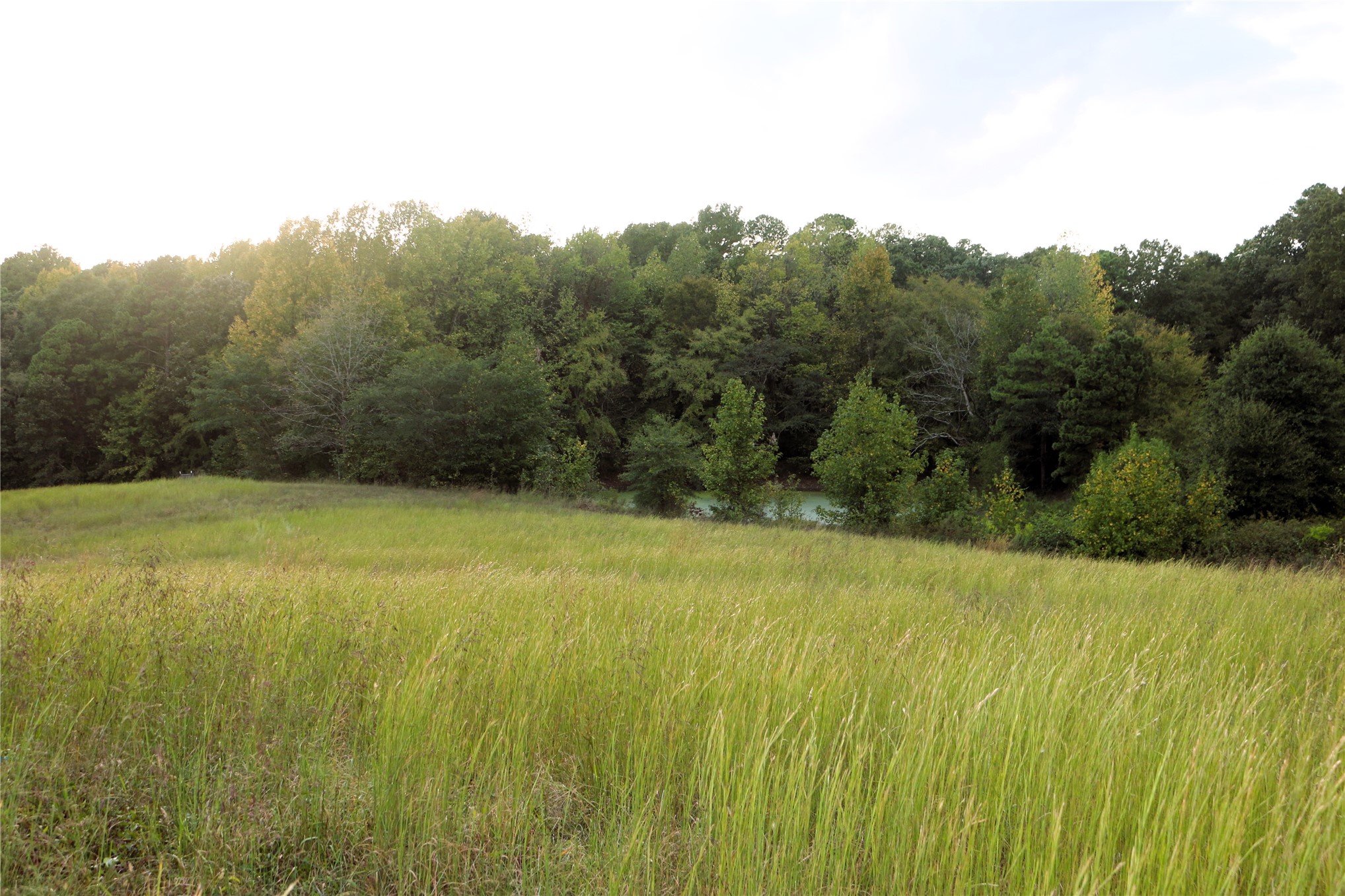 4746 Hwy 4 Highway Property Photo 65