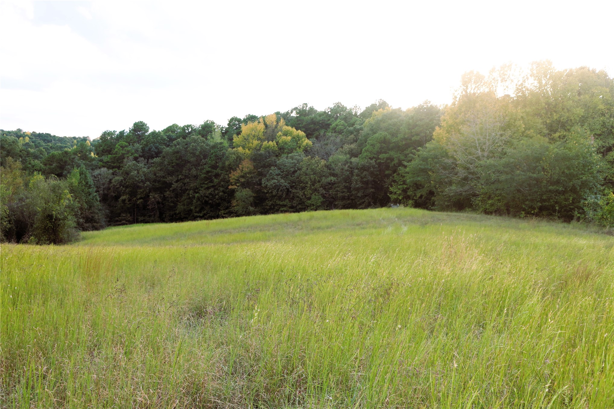 4746 Hwy 4 Highway Property Photo 66