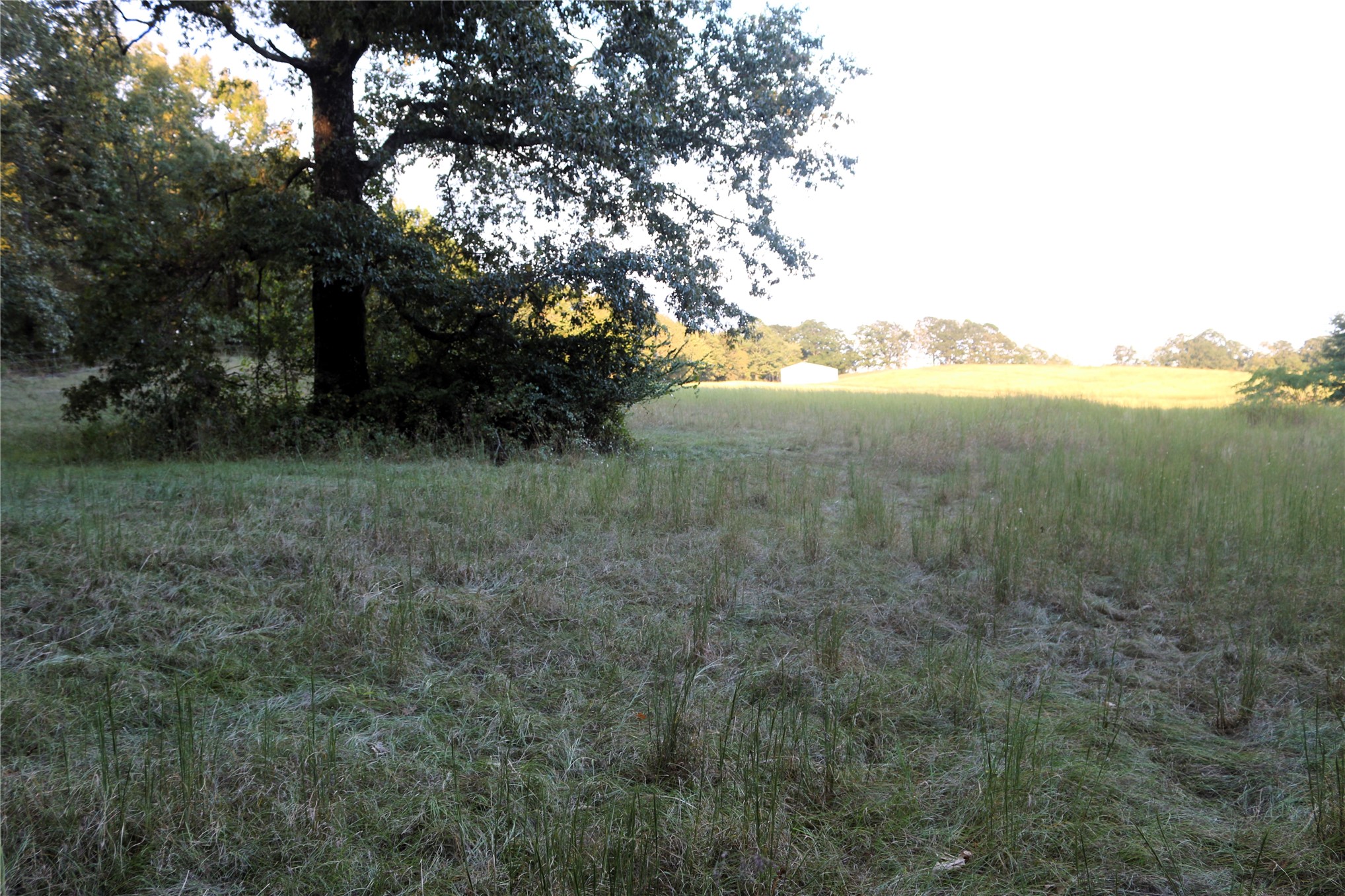 4746 Hwy 4 Highway Property Photo 72