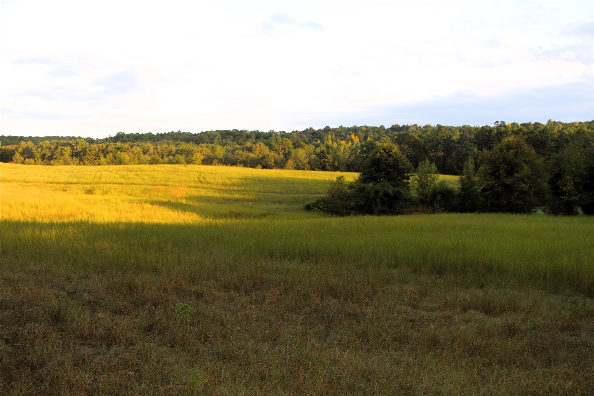 4746 Hwy 4 Highway Property Photo 74