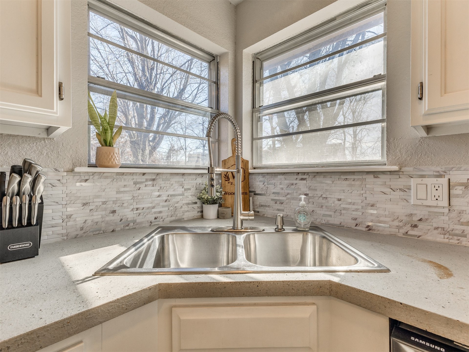 1105 W Delmar Street Property Photo 7