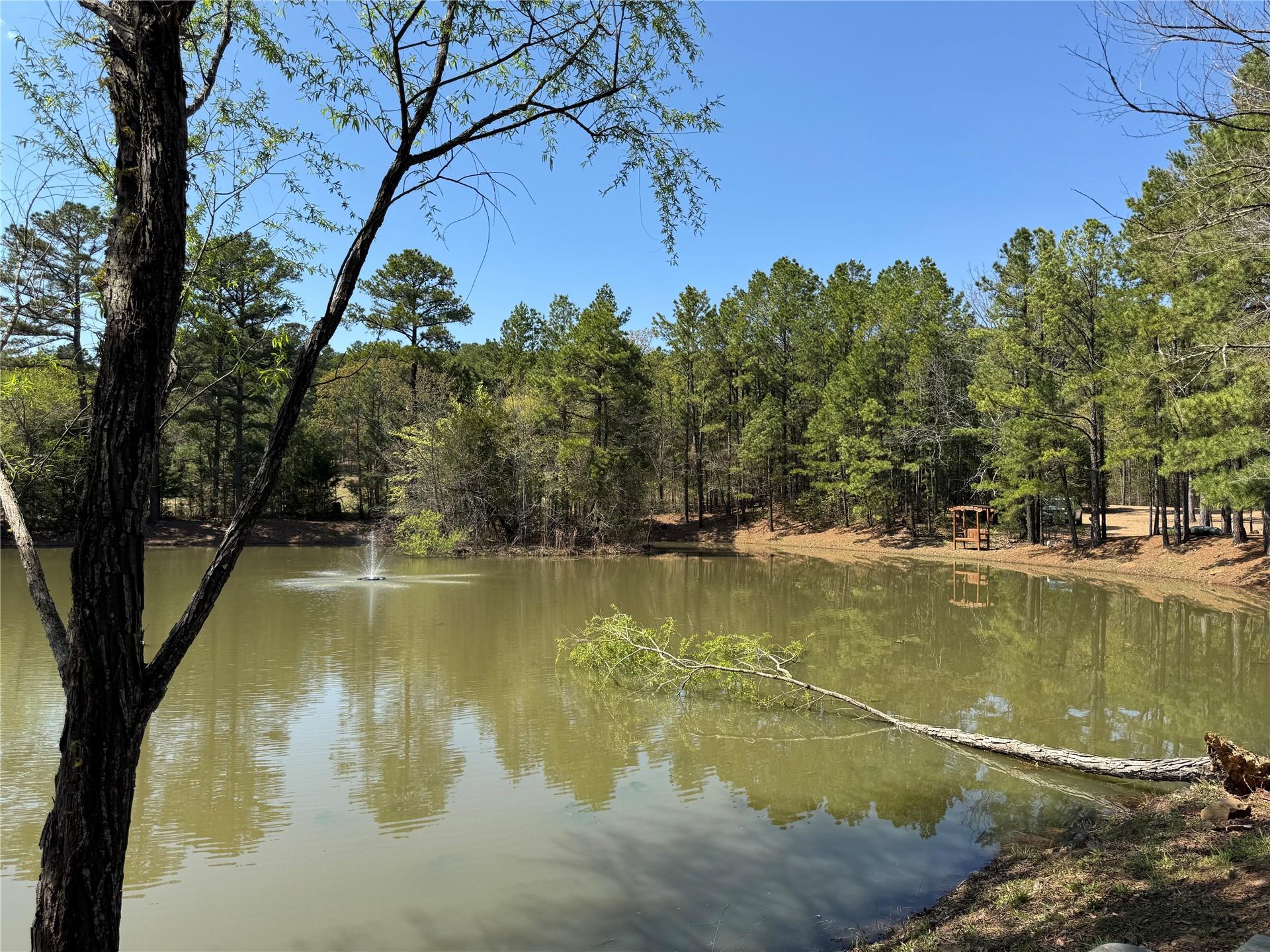 18 Timber Ridge Road Property Photo 14