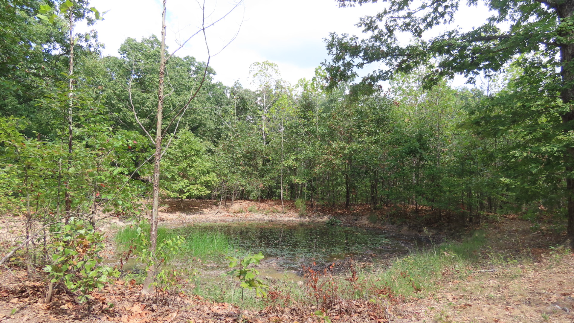 Old Toll Gate Road