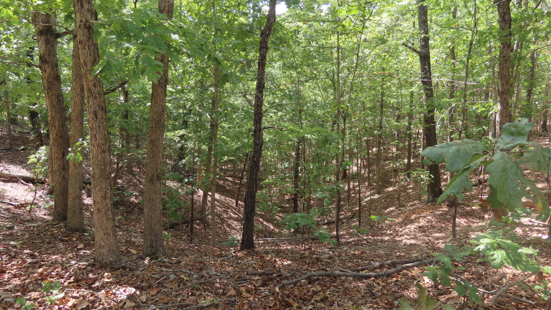 Old Toll Gate Road Property Photo 2