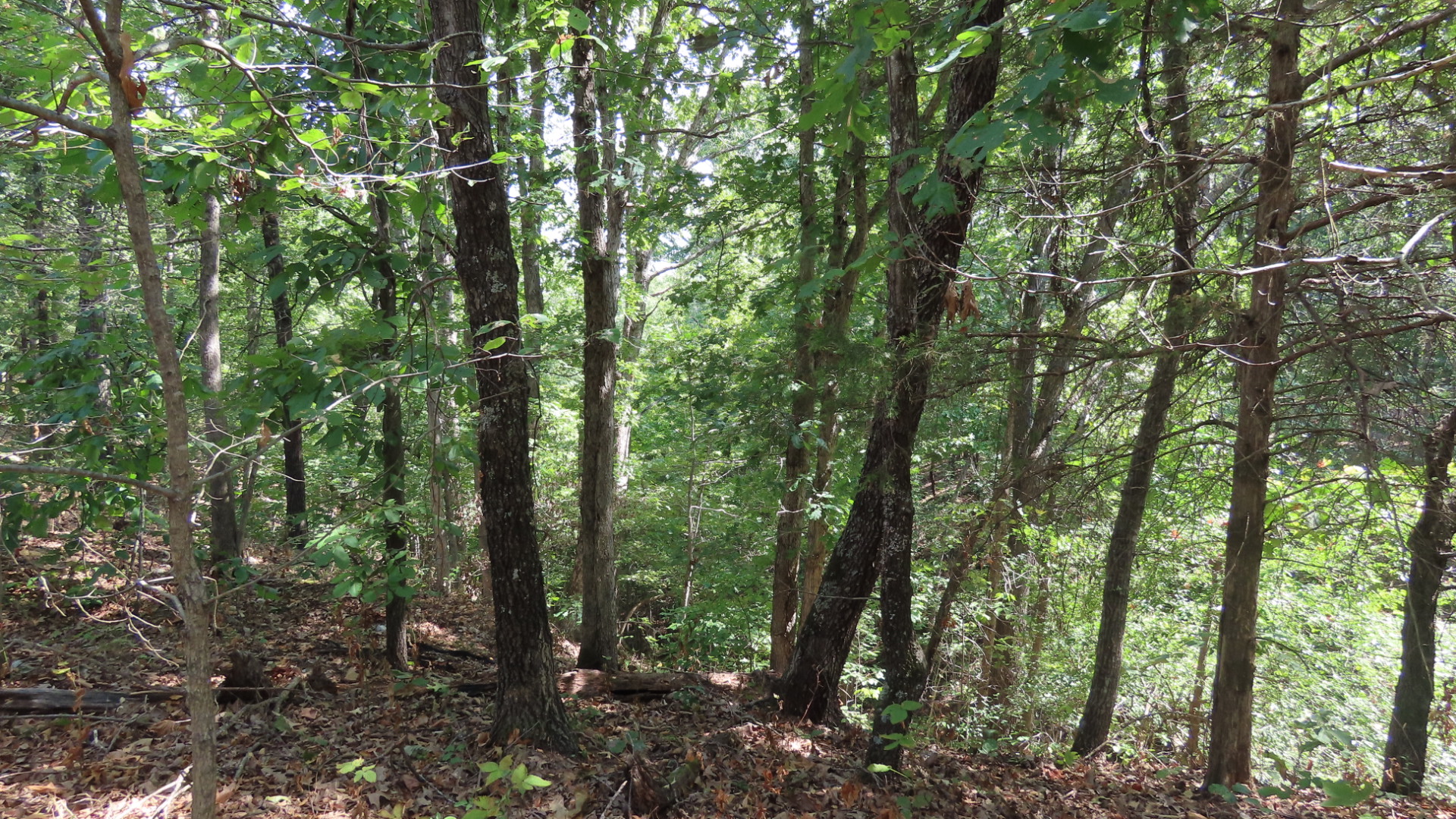 Old Toll Gate Road Property Photo 3