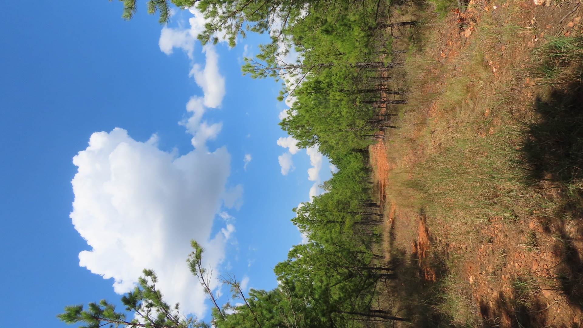 Old Toll Gate Road Property Photo 4