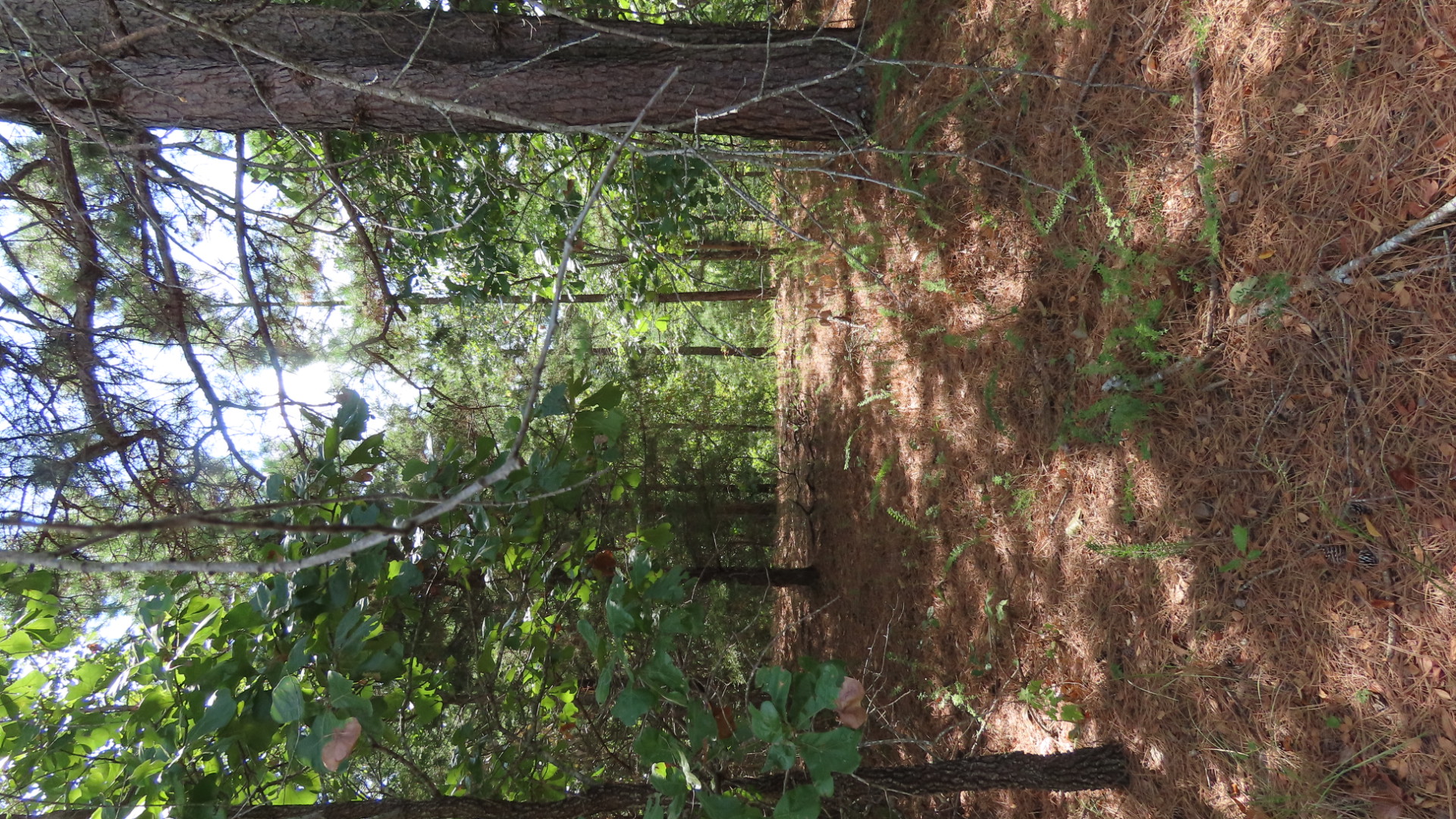 Old Toll Gate Road Property Photo 5