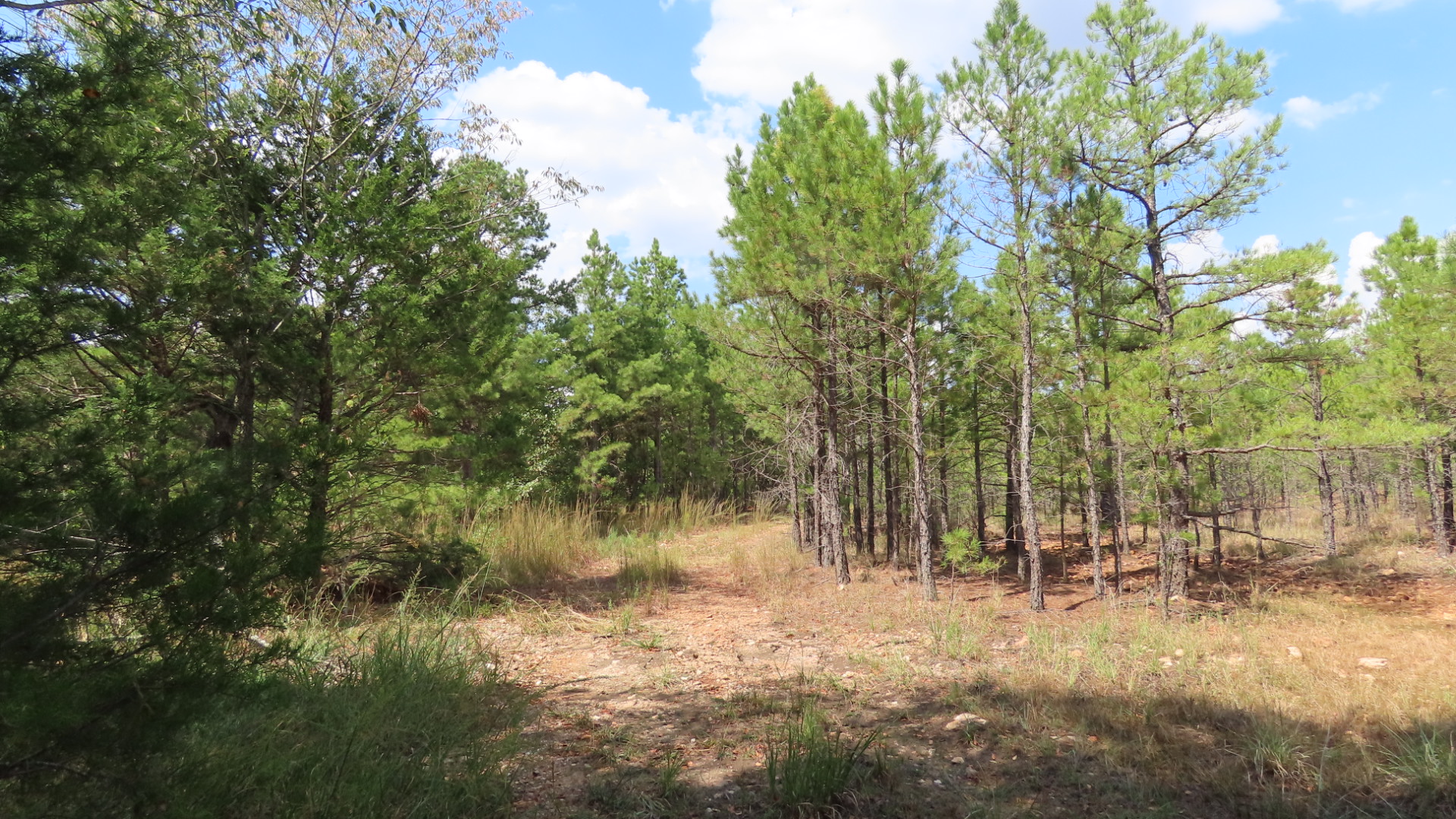 Old Toll Gate Road Property Photo 6