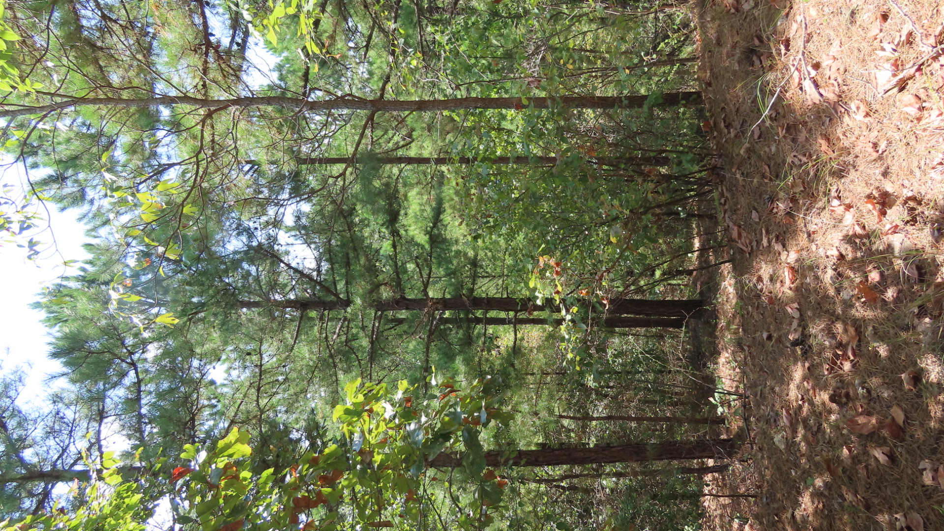 Old Toll Gate Road Property Photo 7
