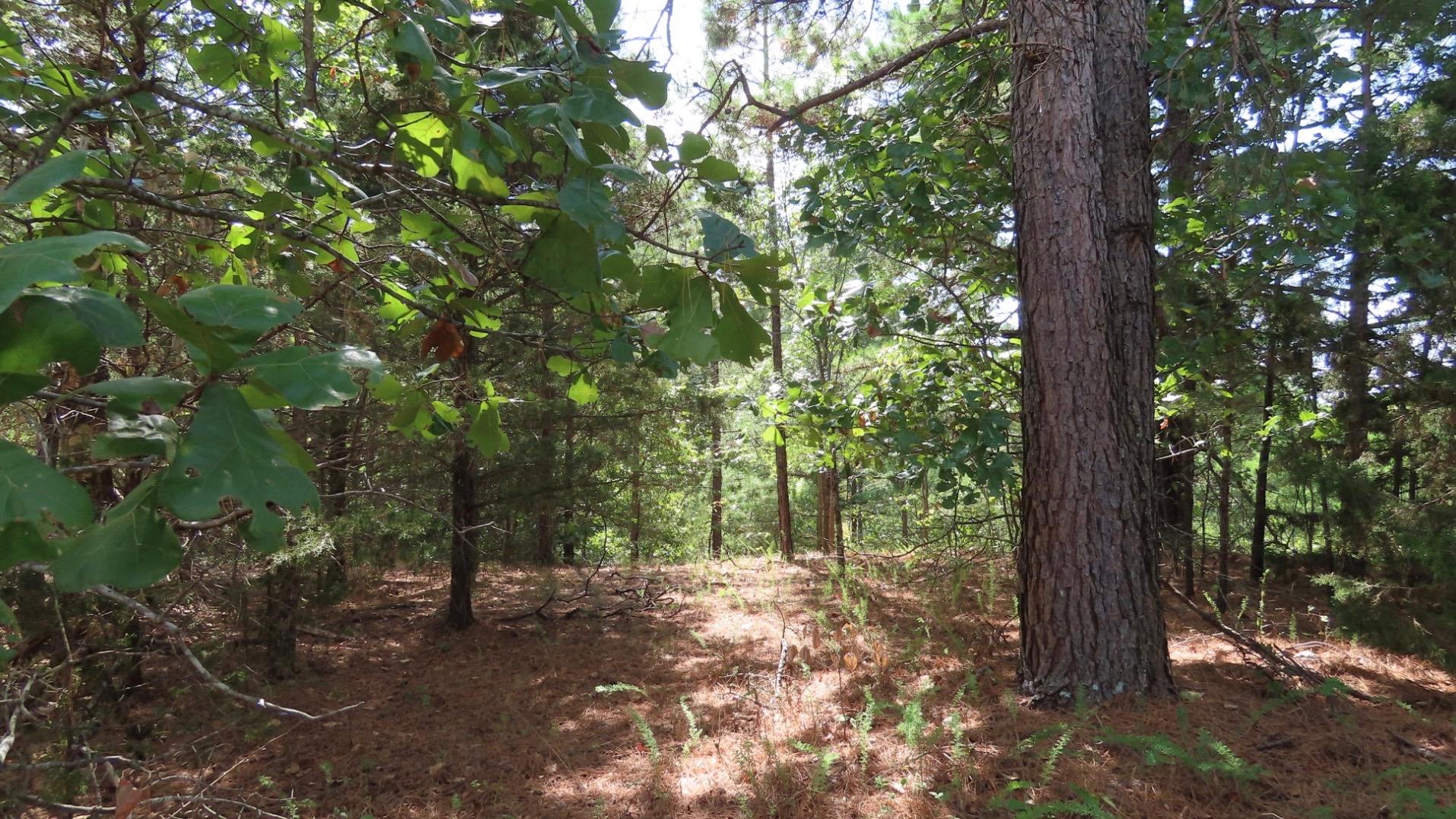 Old Toll Gate Road Property Photo 8