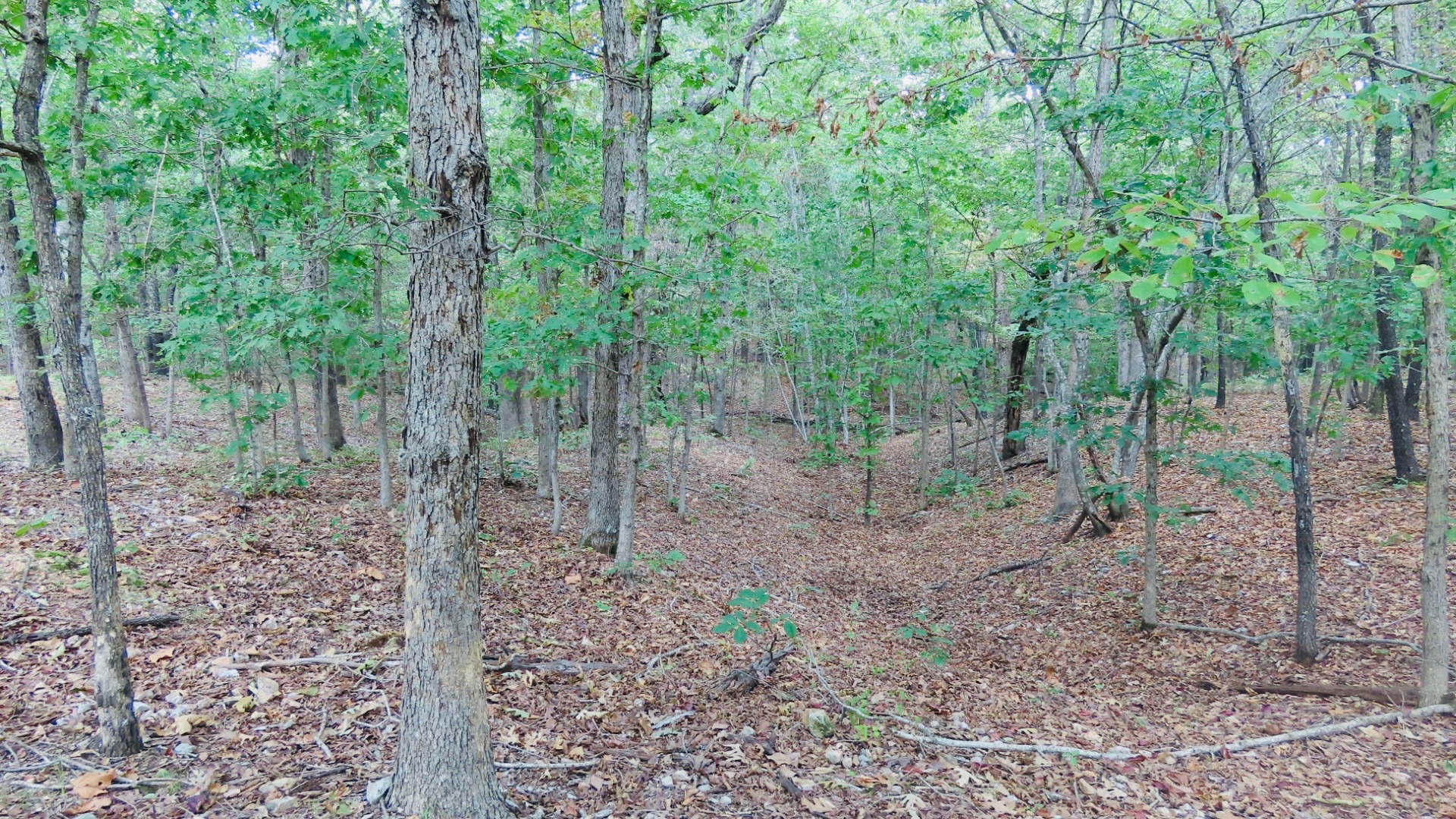Old Toll Gate Road Property Photo 9