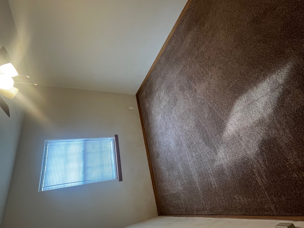 1317 S 10th Street Property Photo 20
