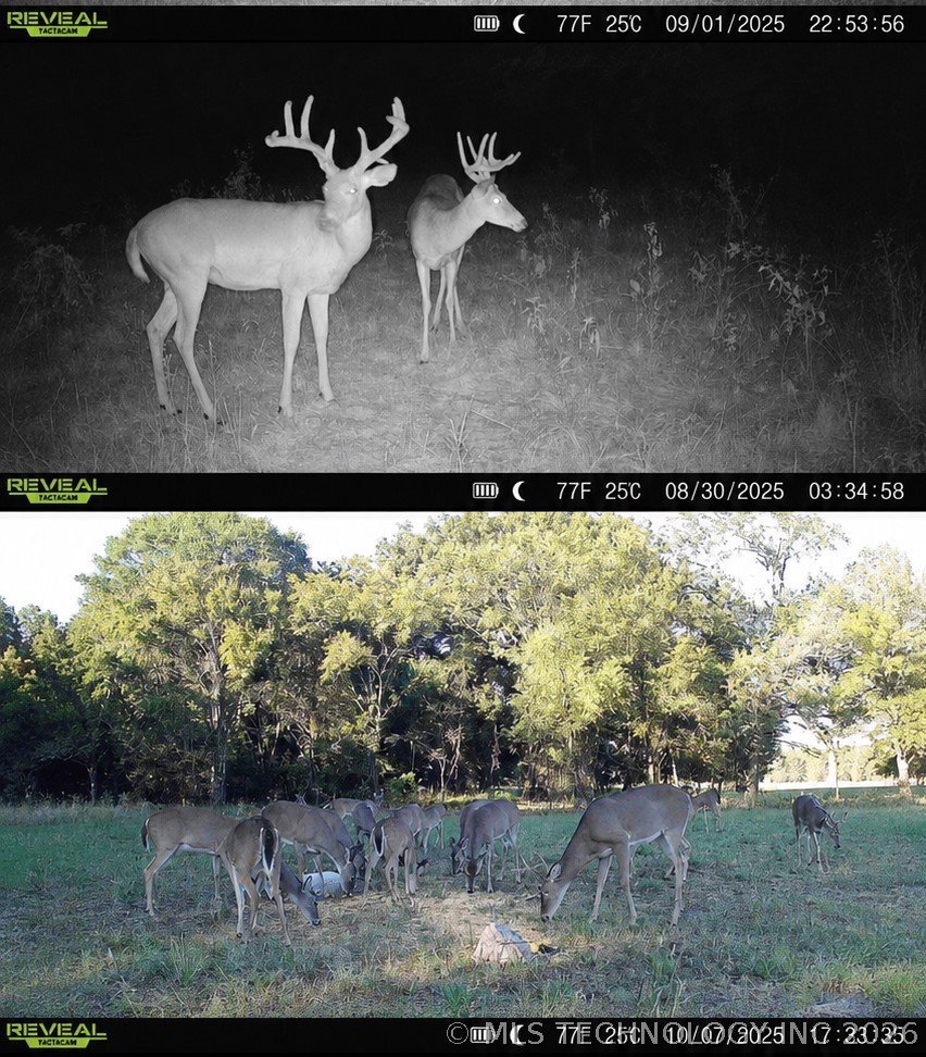38987 Leo Property Photo 2
