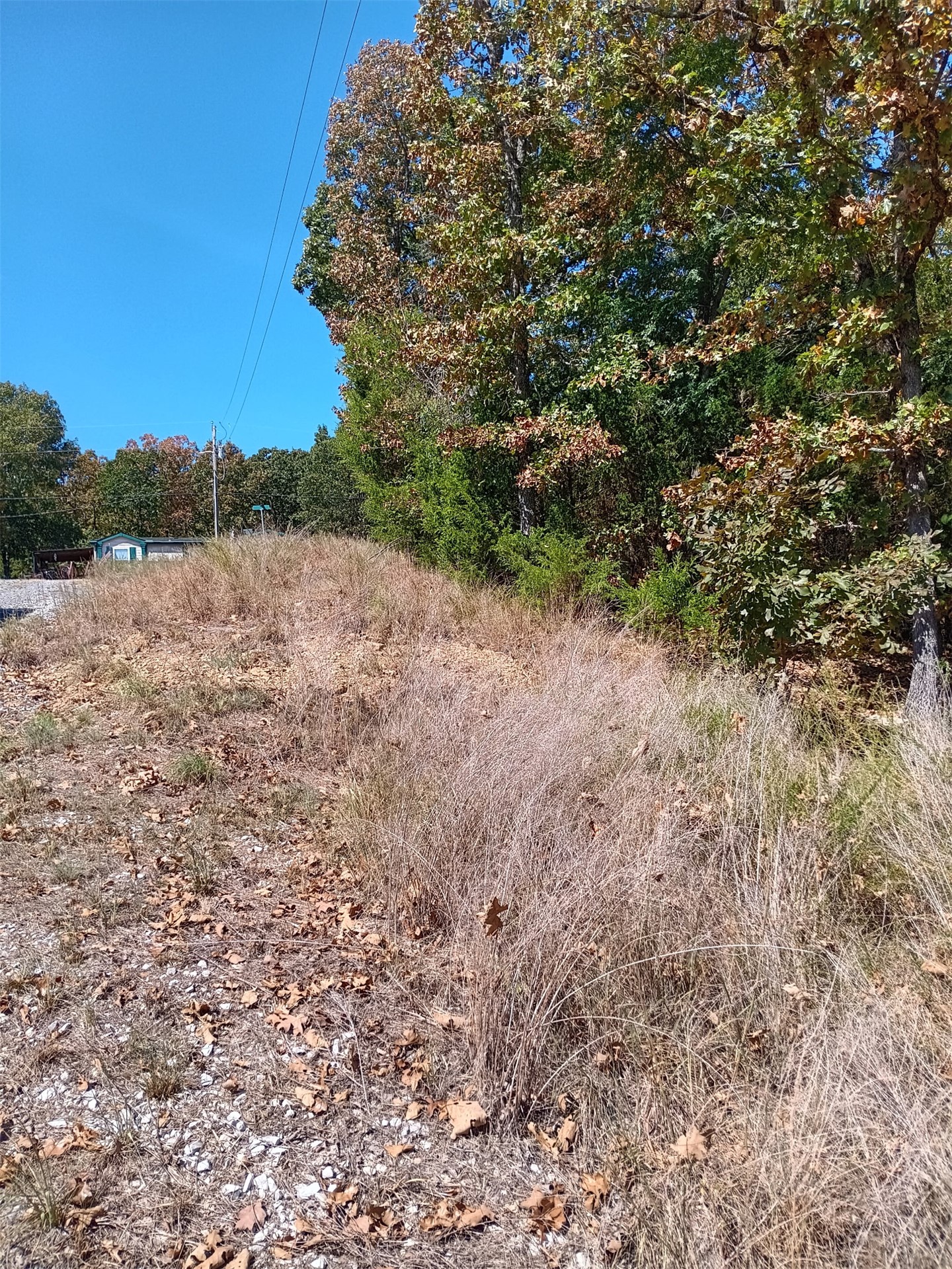 123 W Woodland Court Property Photo 2