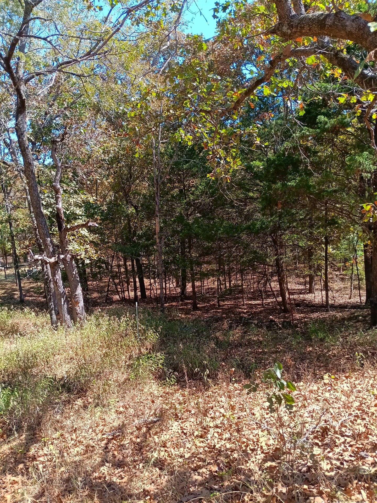 123 W Woodland Court Property Photo 3