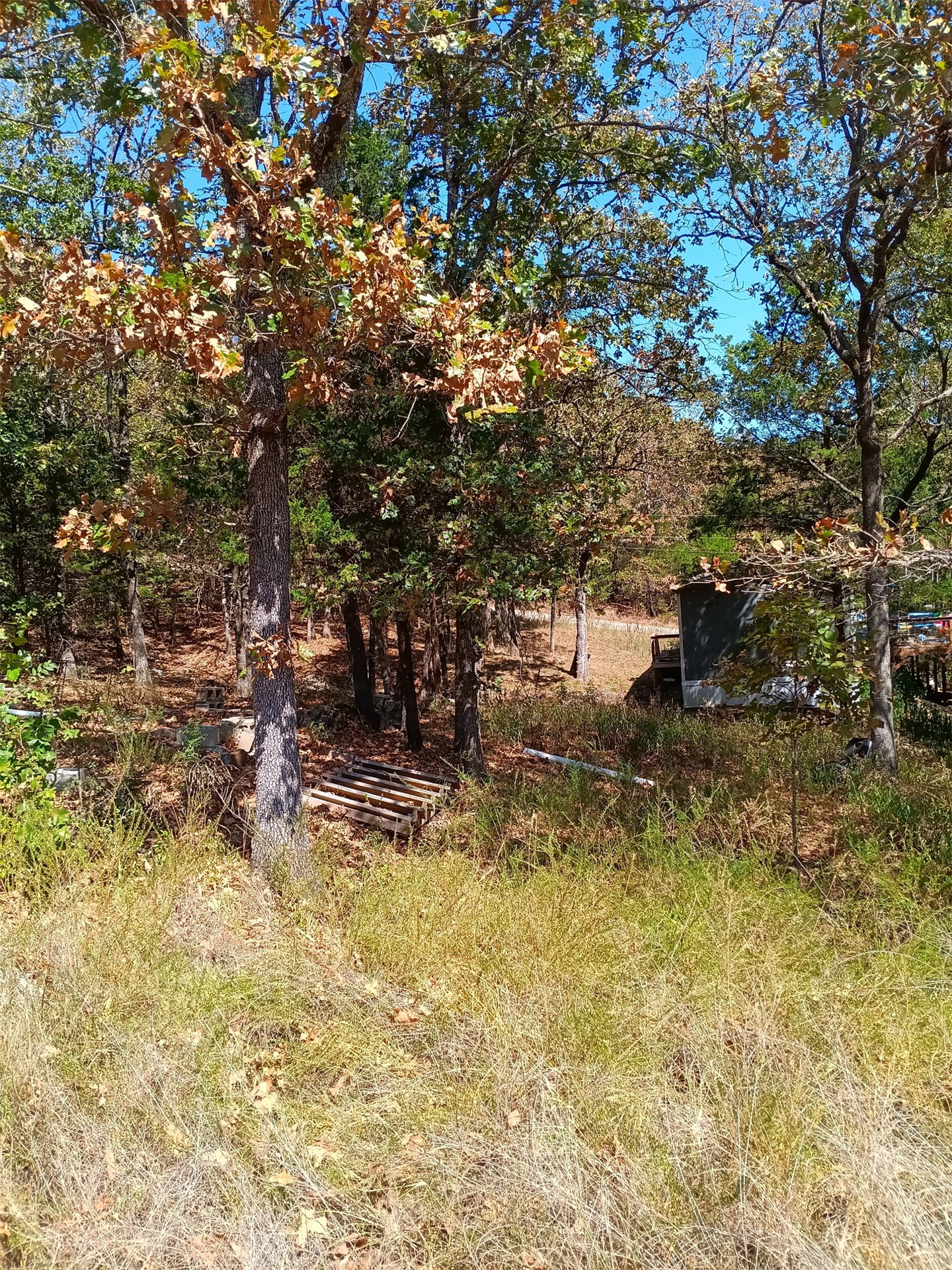 123 W Woodland Court Property Photo 4