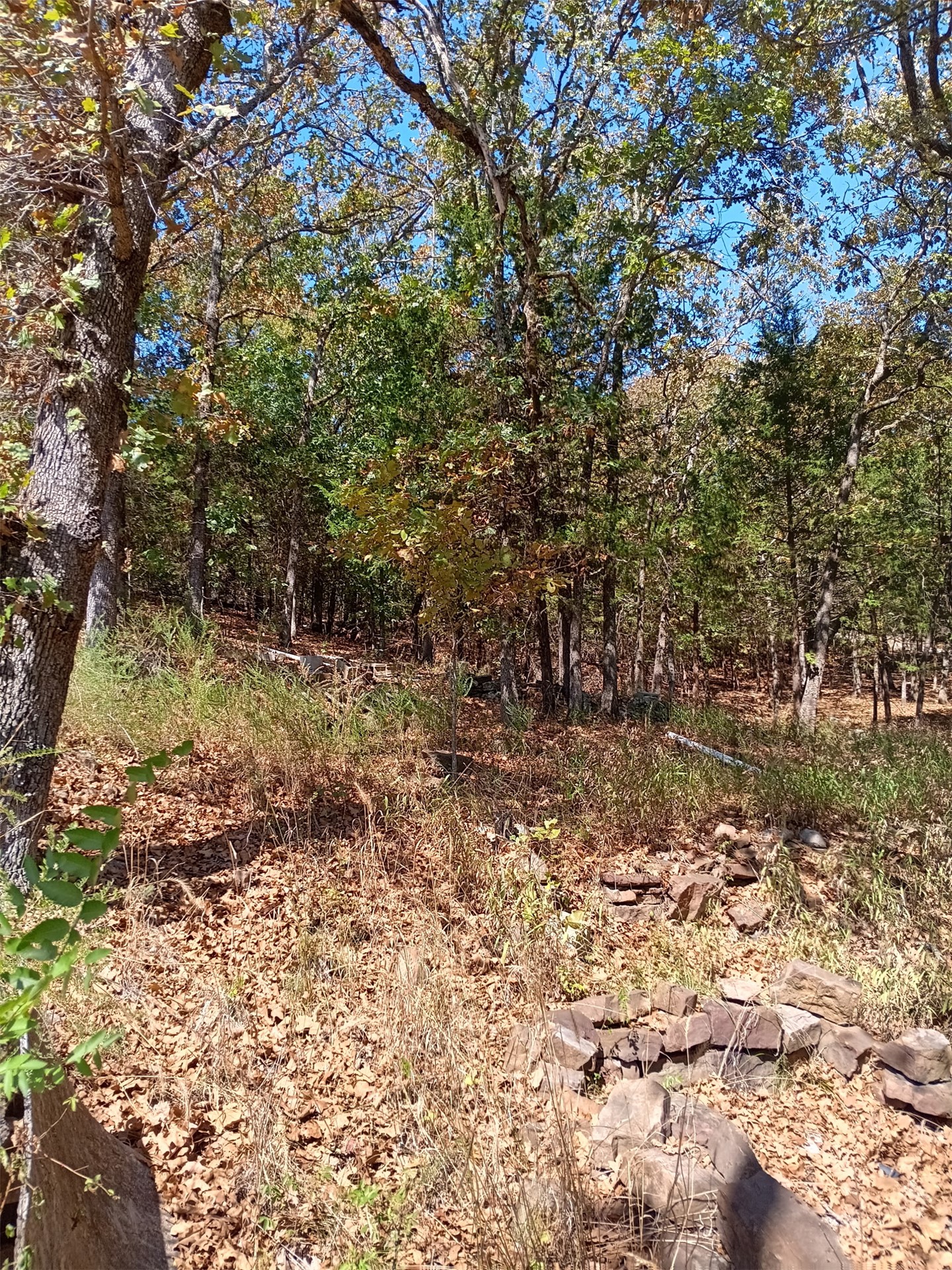 123 W Woodland Court Property Photo 5
