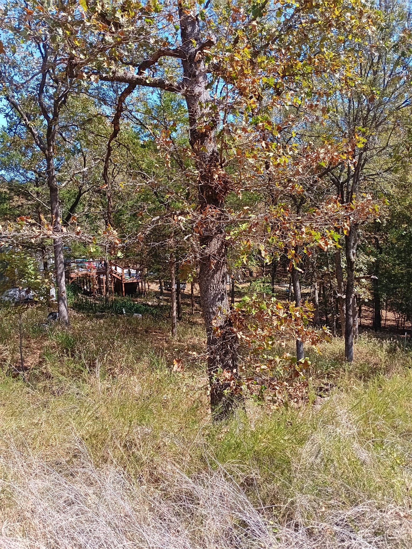 123 W Woodland Court Property Photo 6
