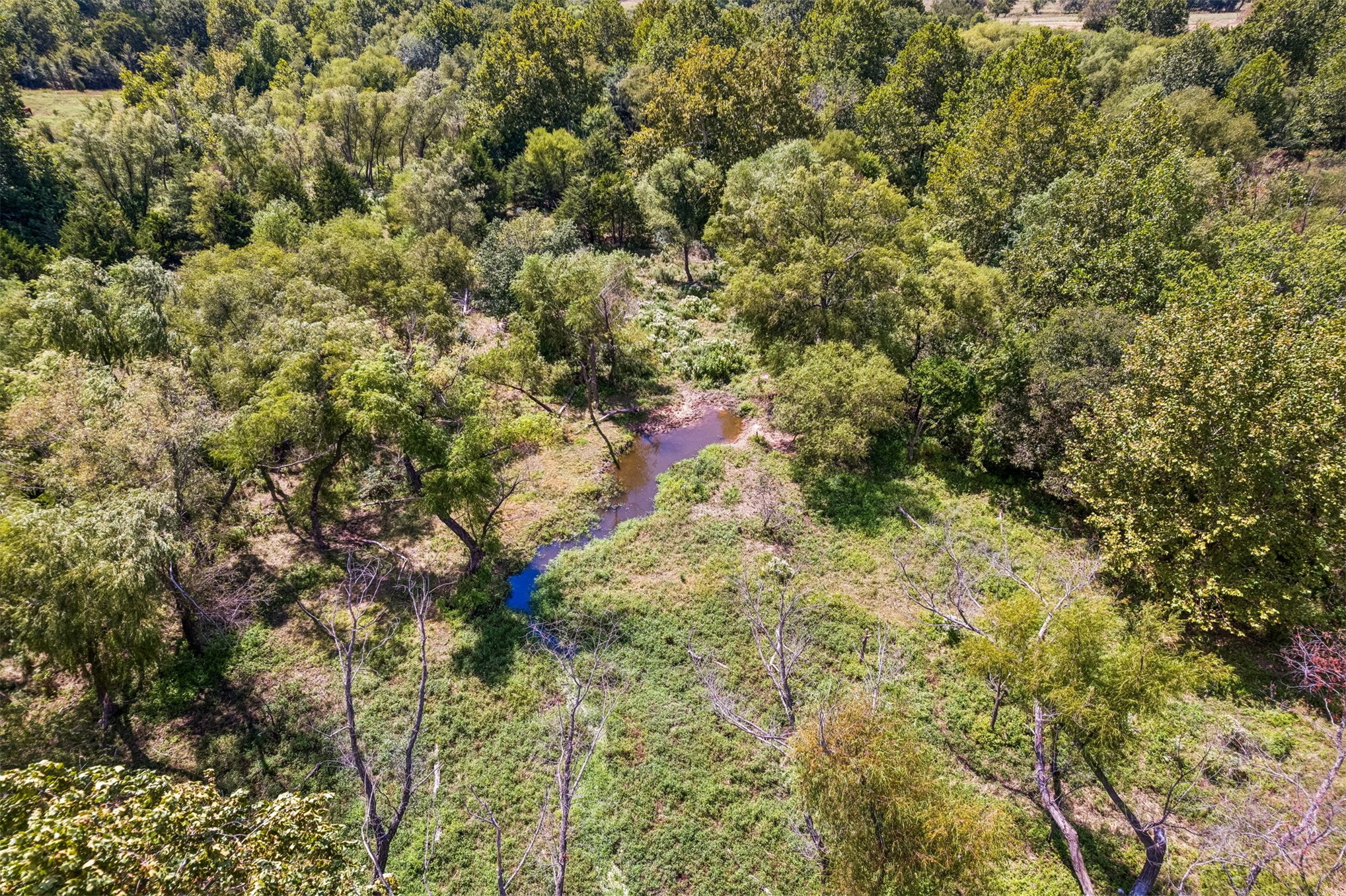 County Road 3490 Property Photo 10