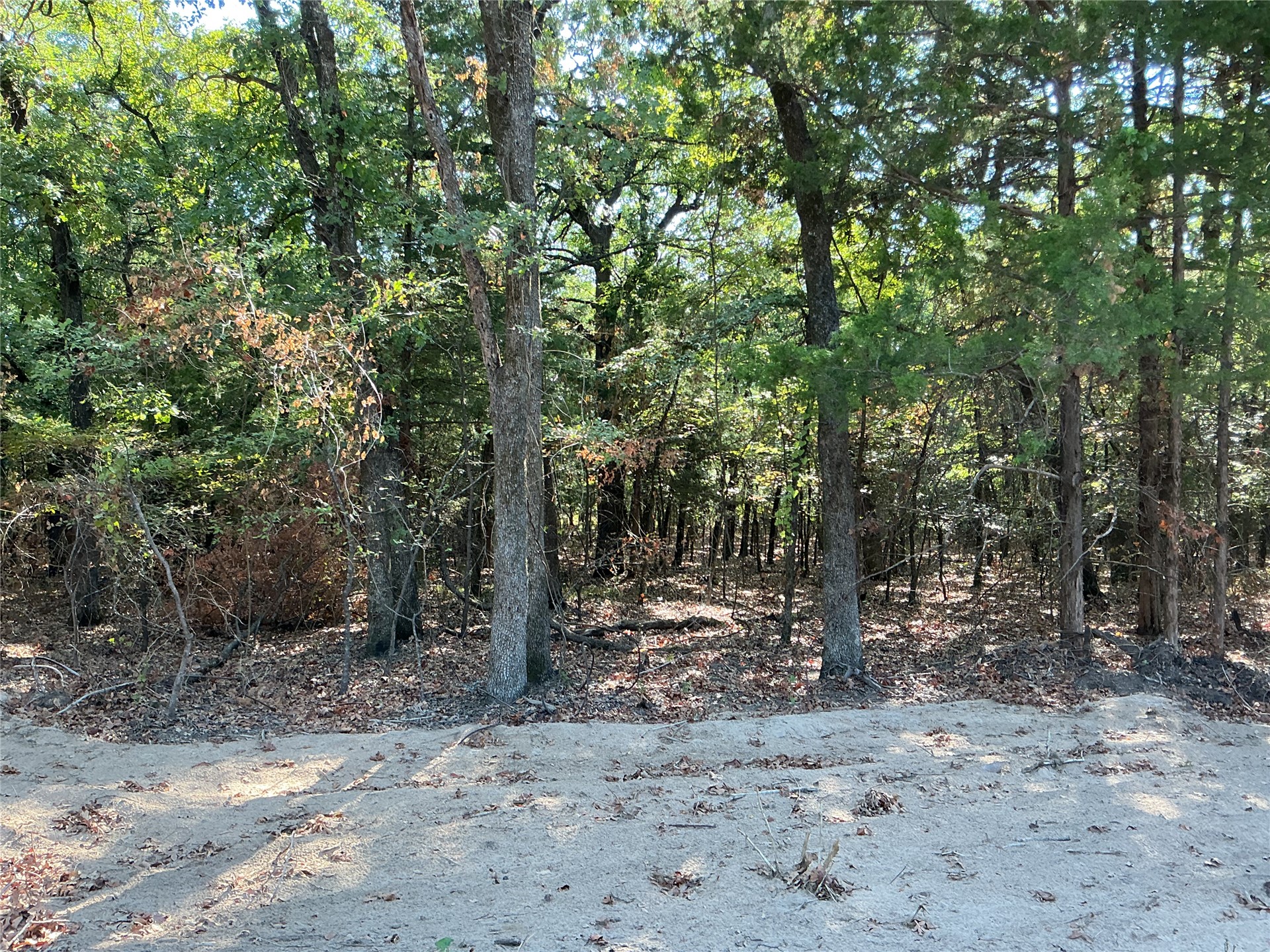 Copper Creek Circle Property Photo 6
