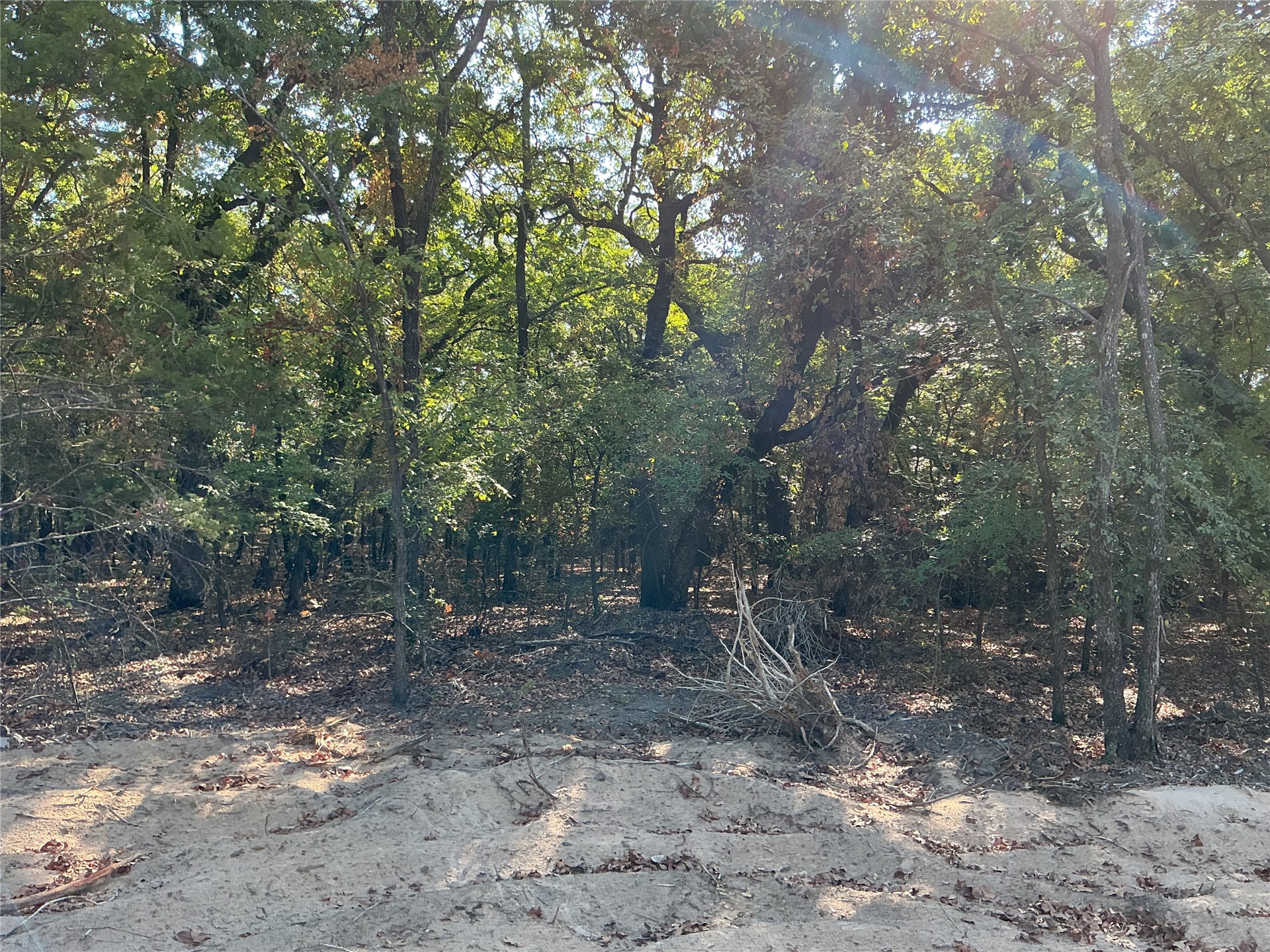 Copper Creek Circle Property Photo 7