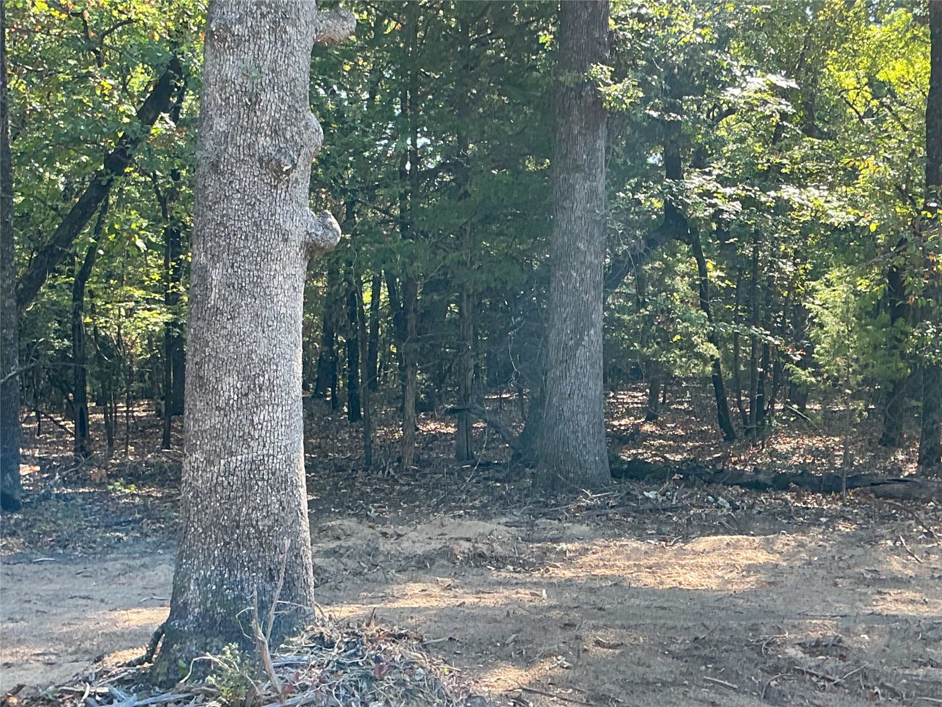 Copper Creek Circle Property Photo 6