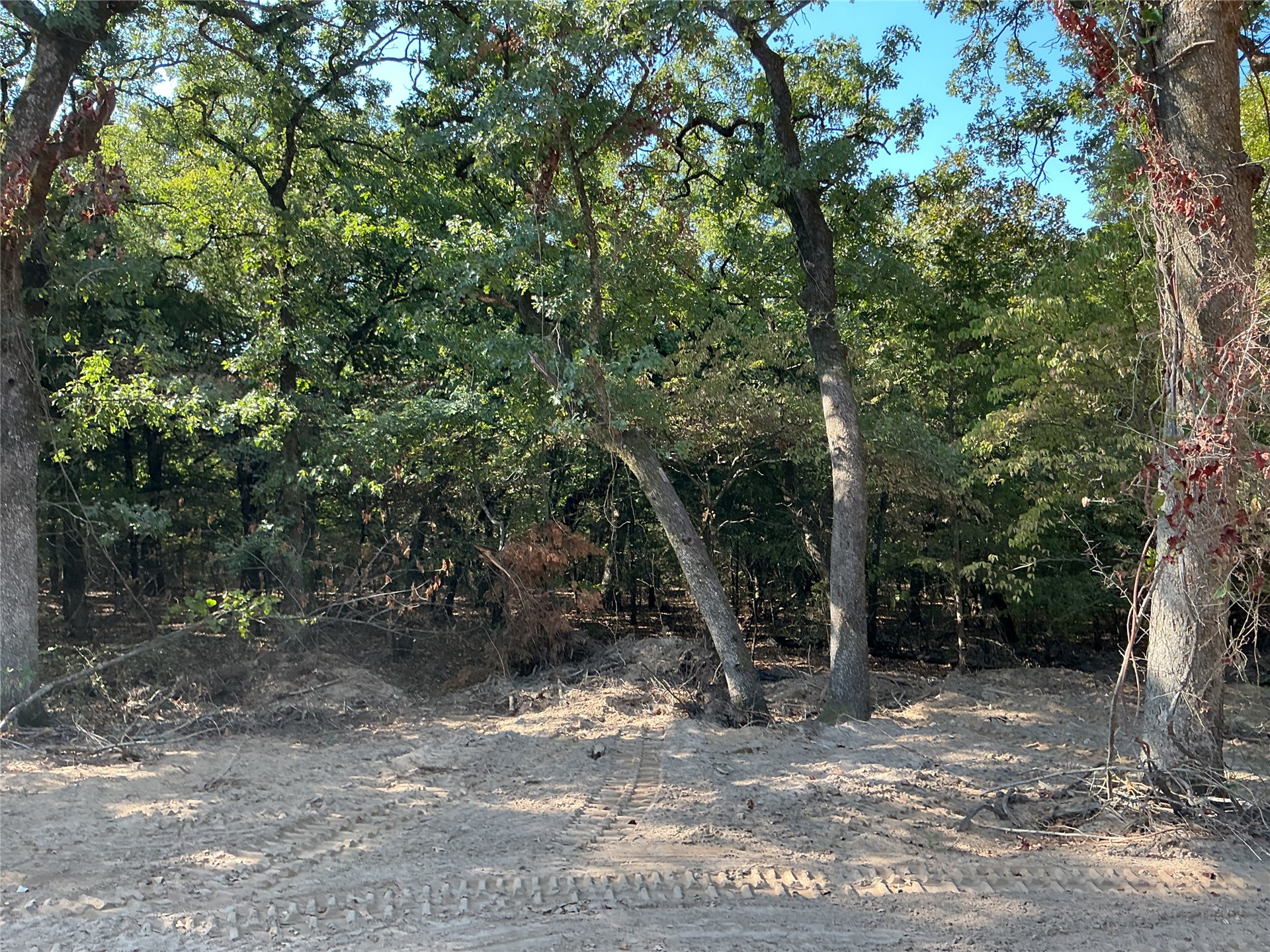 Copper Creek Circle Property Photo 5