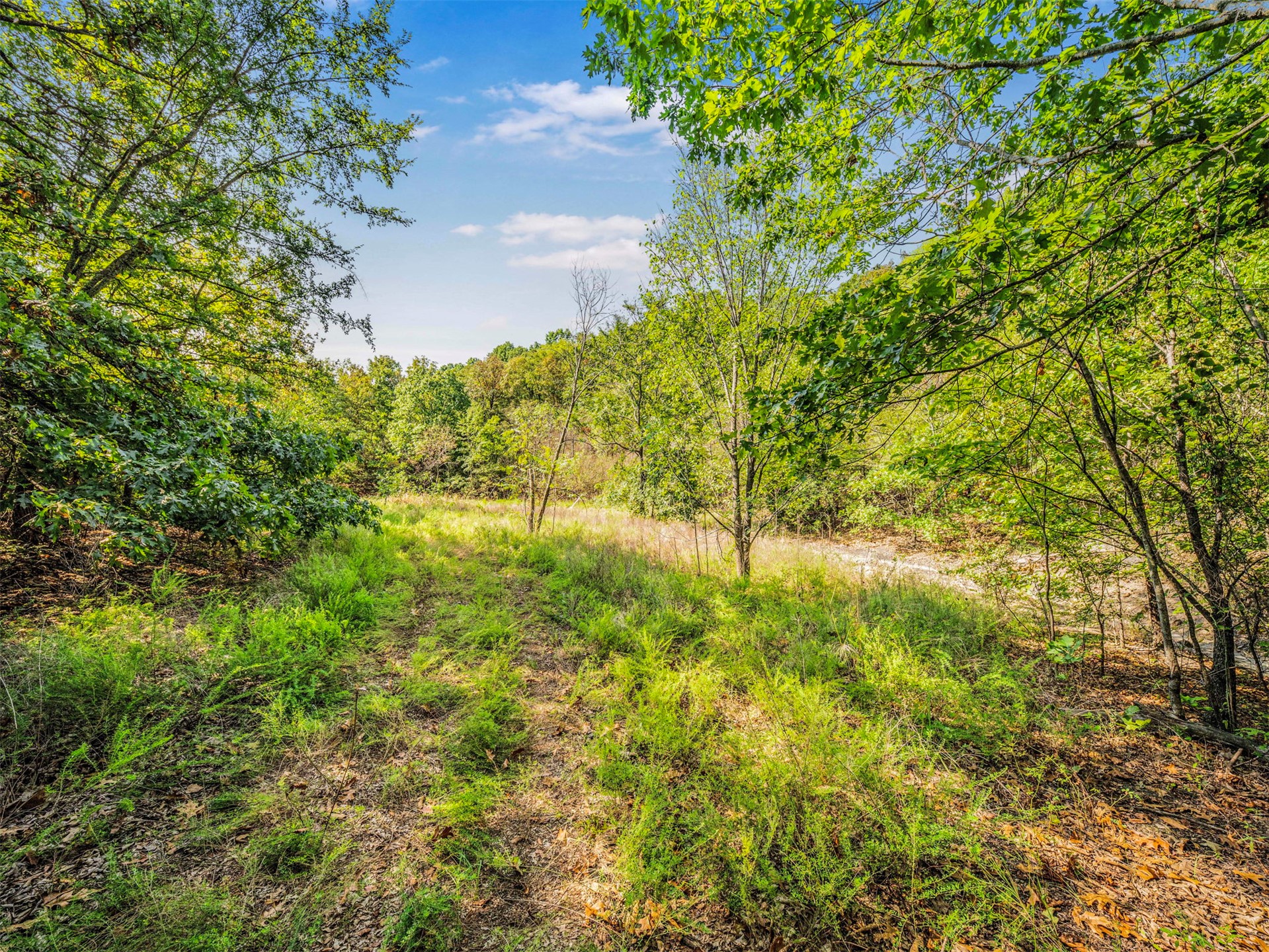 238 W Baker Road Property Photo 5