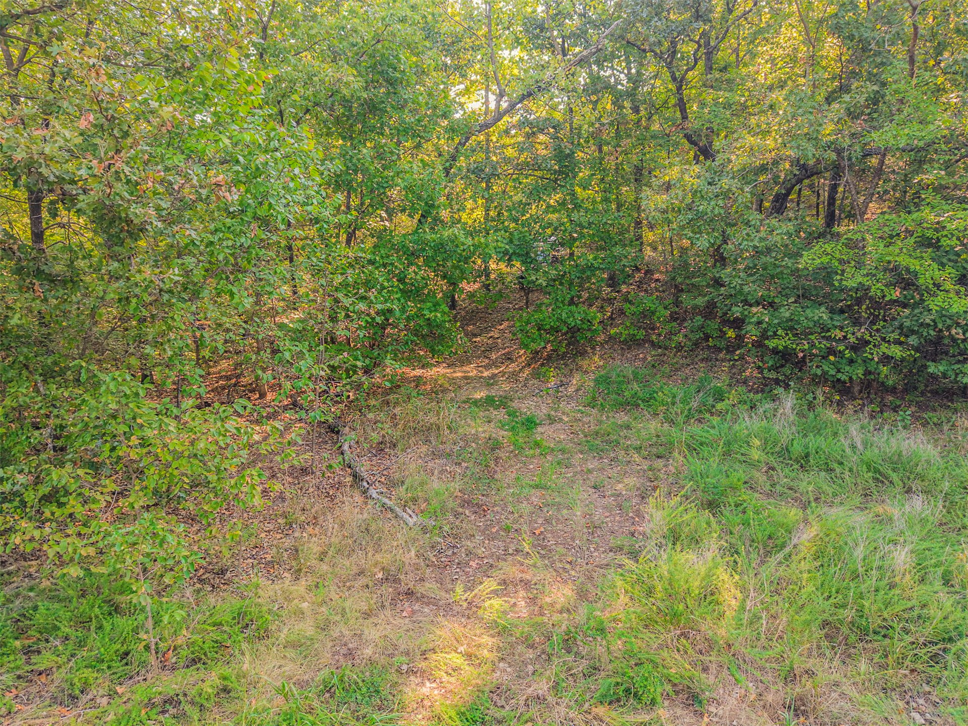 238 W Baker Road Property Photo 31