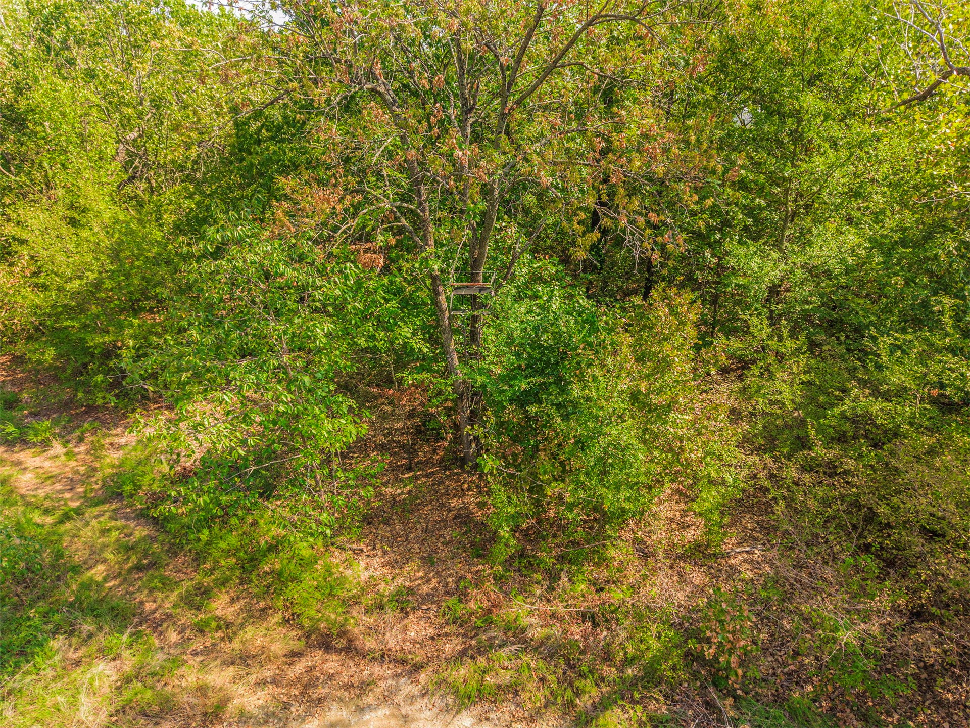 238 W Baker Road Property Photo 56