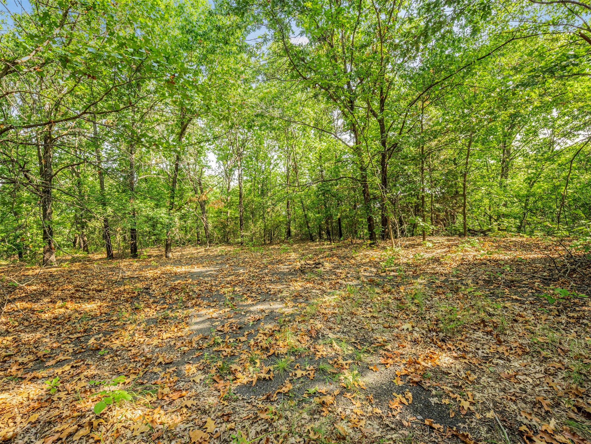 238 W Baker Road Property Photo 60
