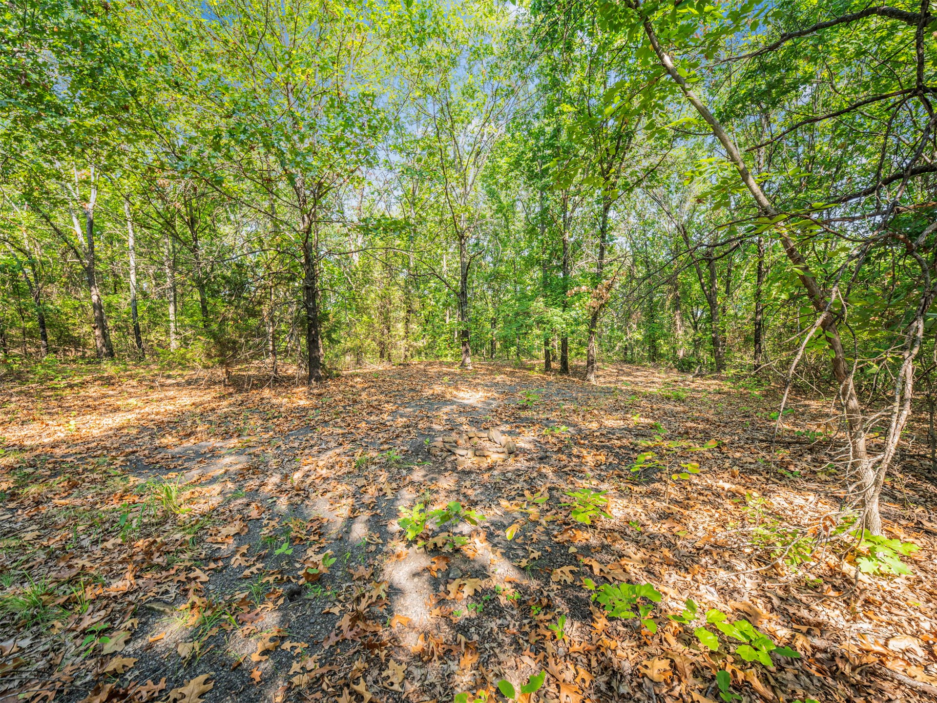 238 W Baker Road Property Photo 61